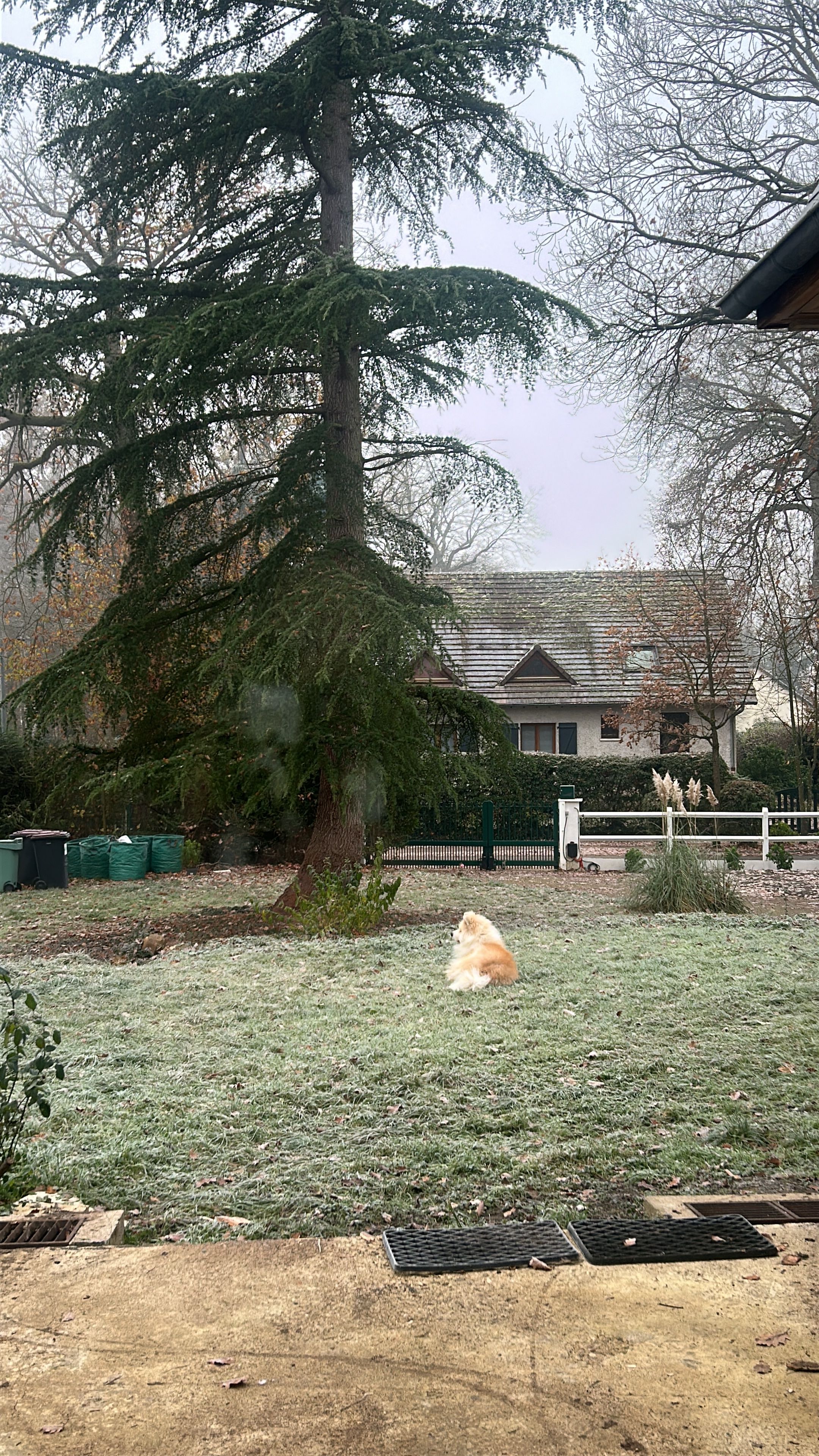 image-17
