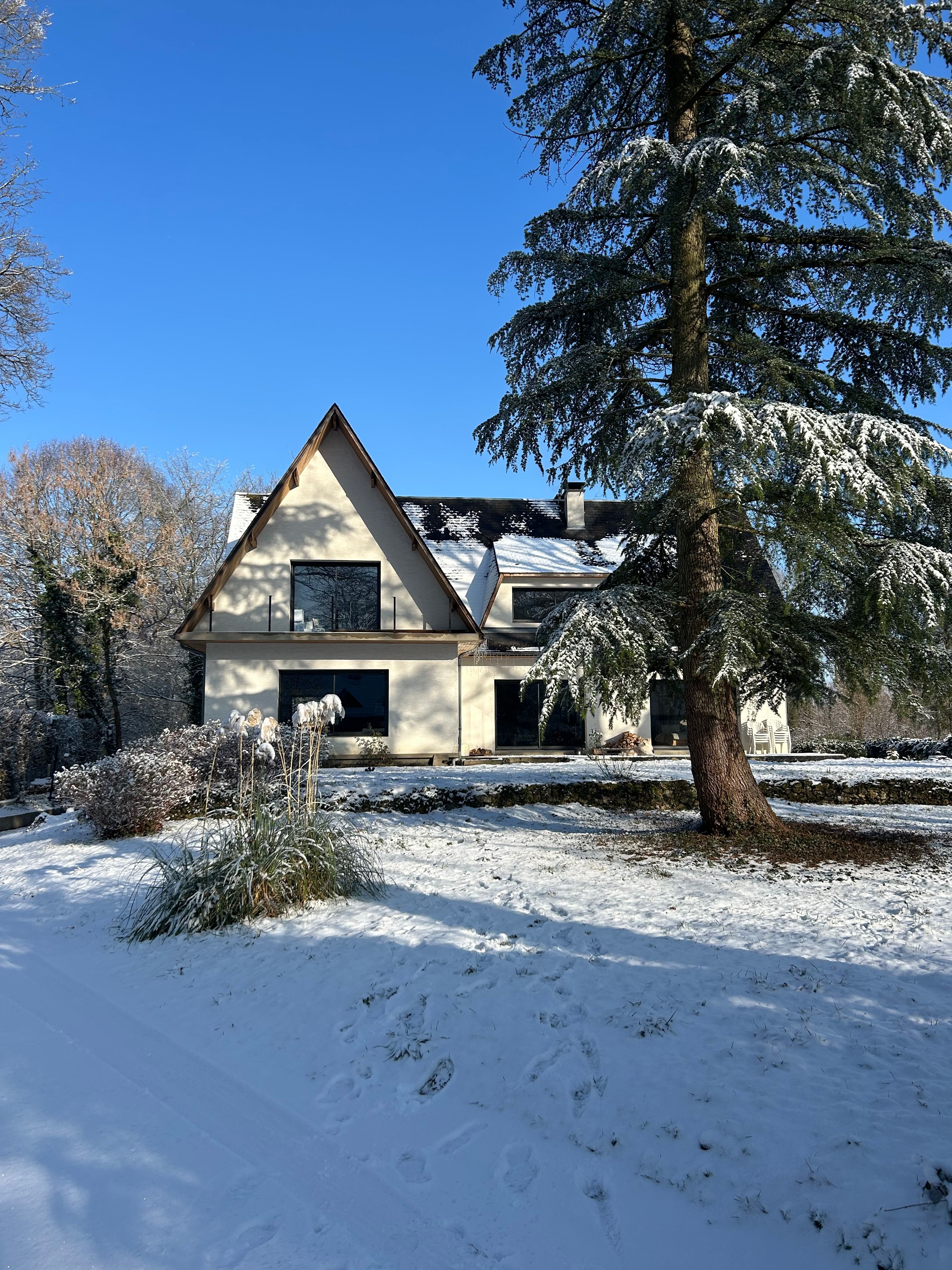image-19