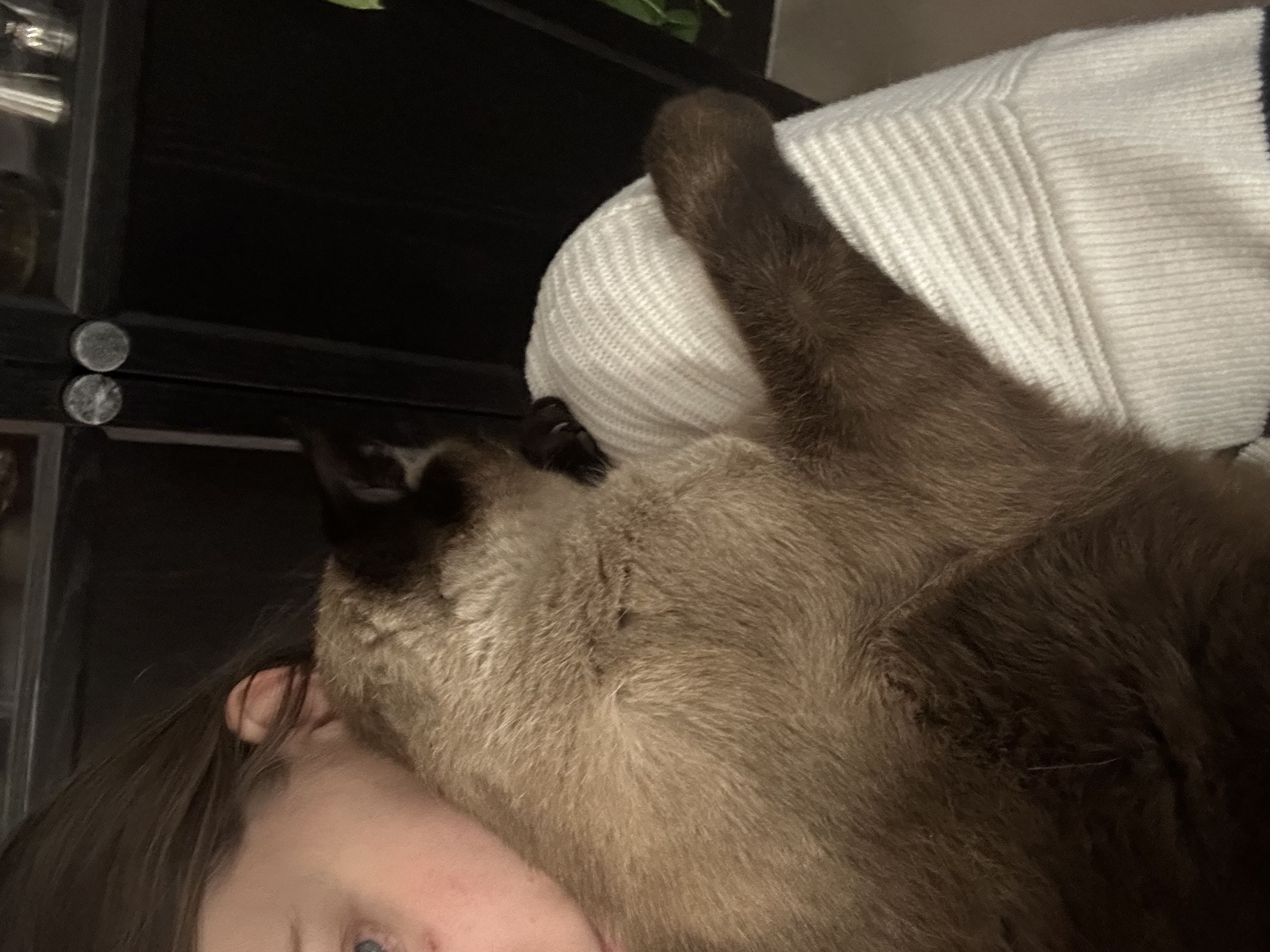 image-9
