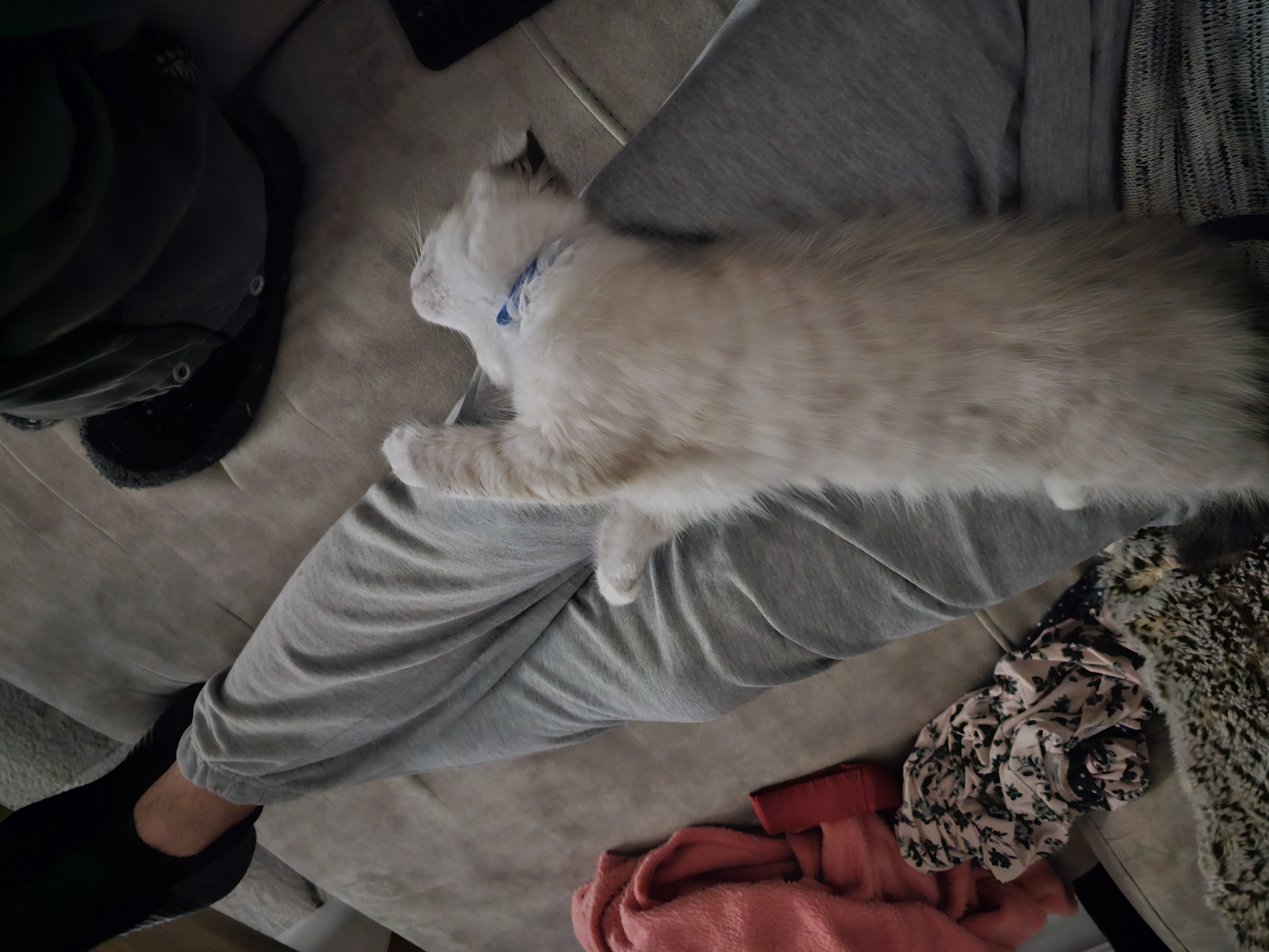image-6