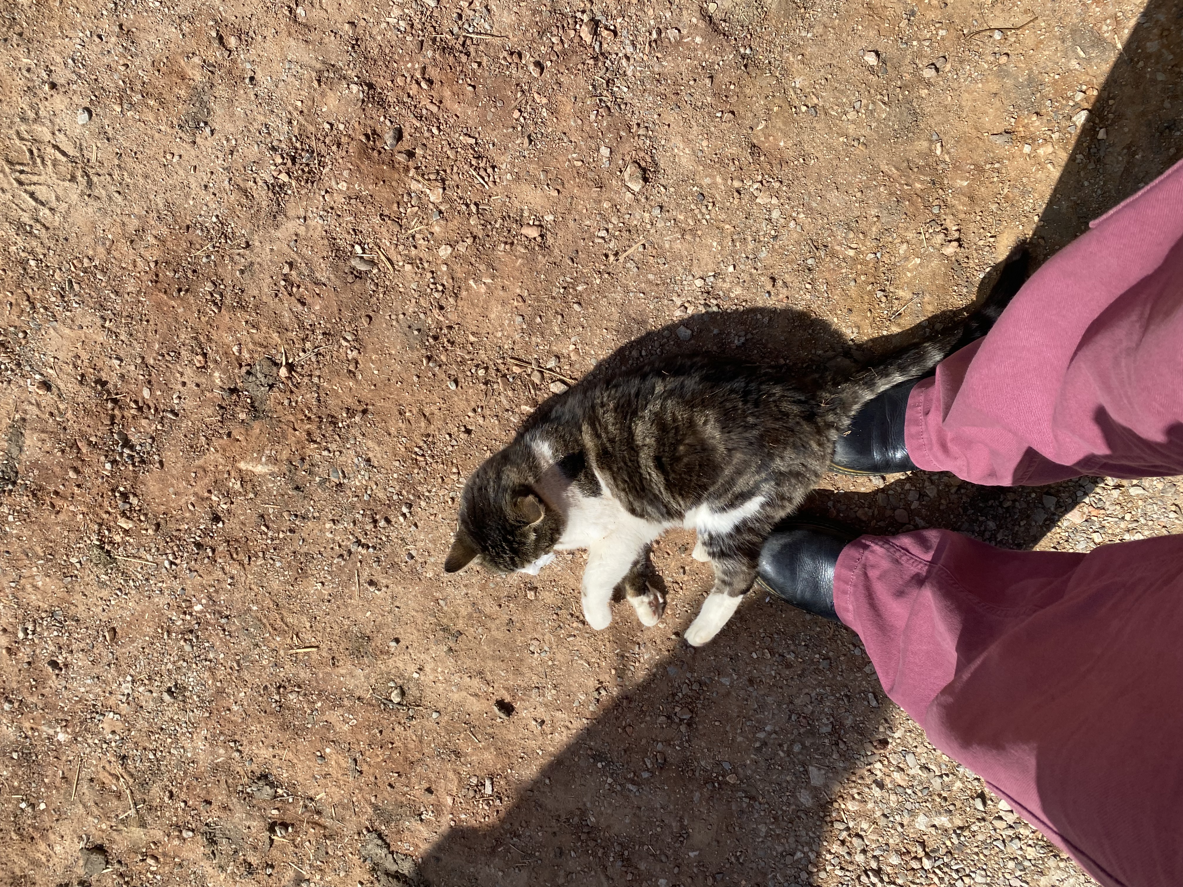 image-5