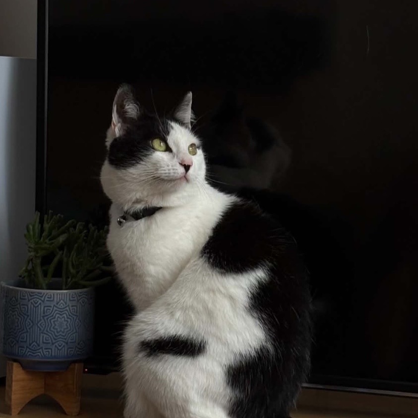 Joni