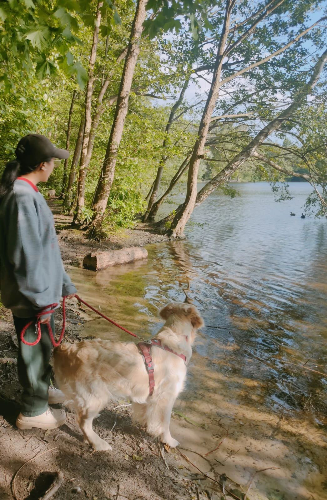 image-7