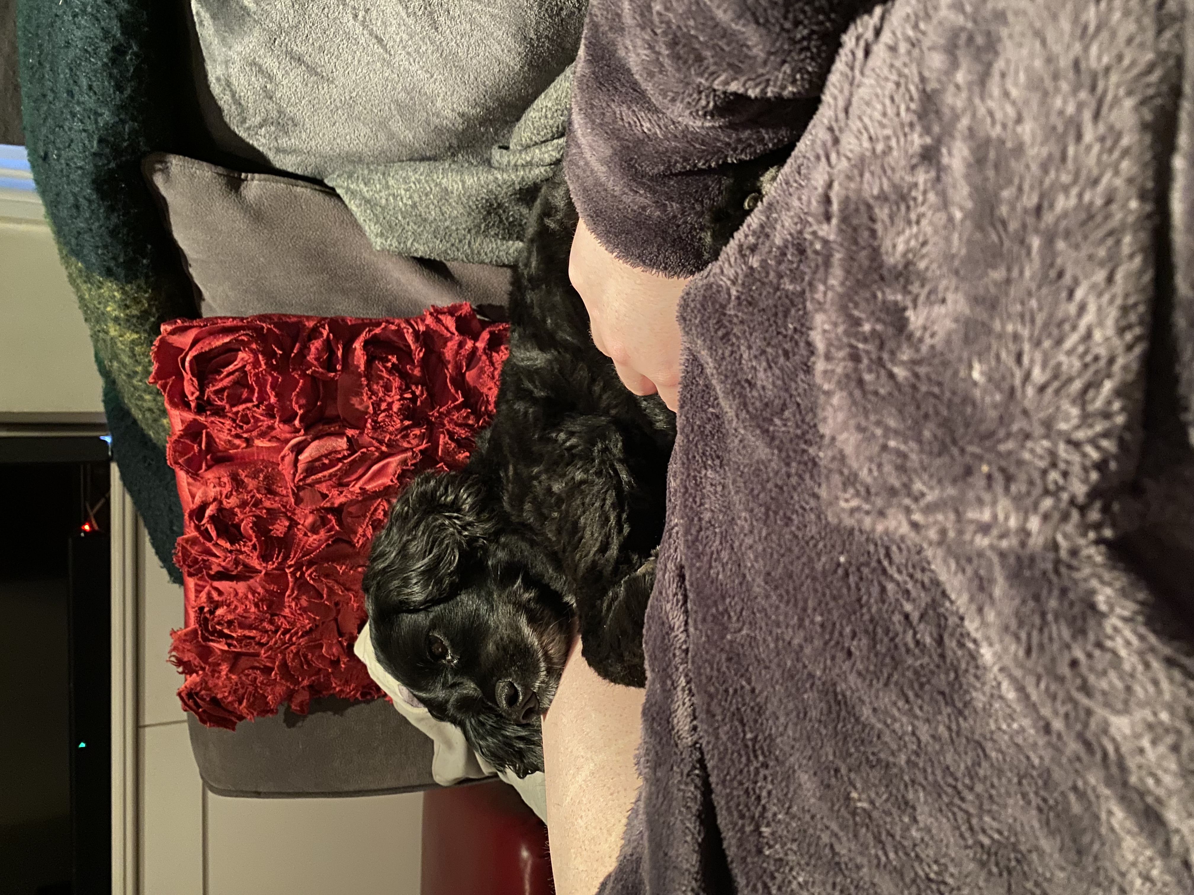 image-5
