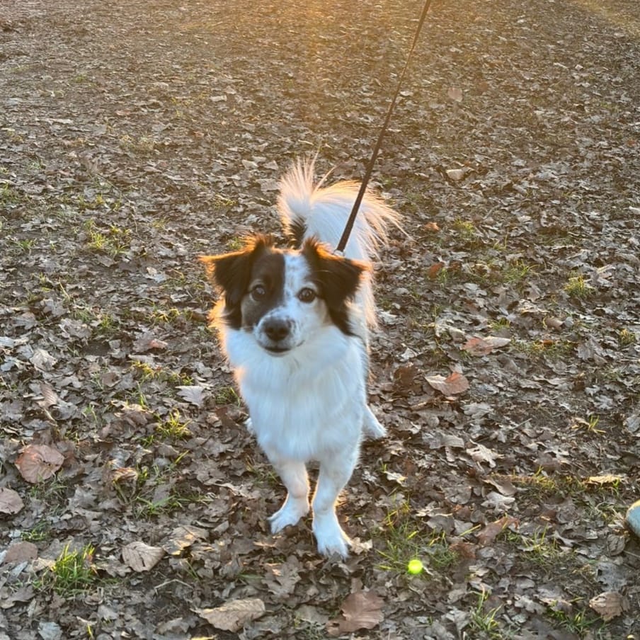 Nina