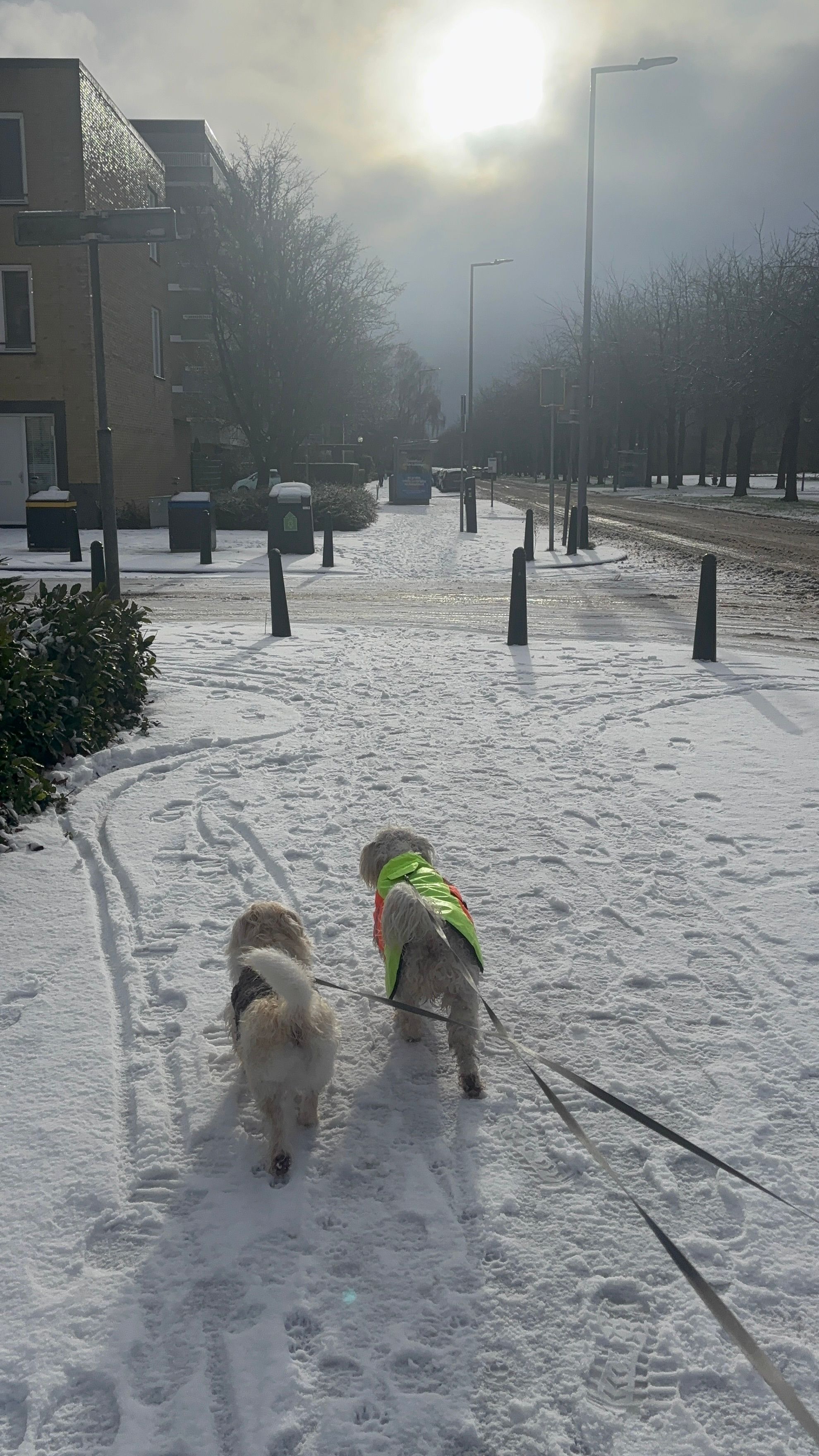 image-5
