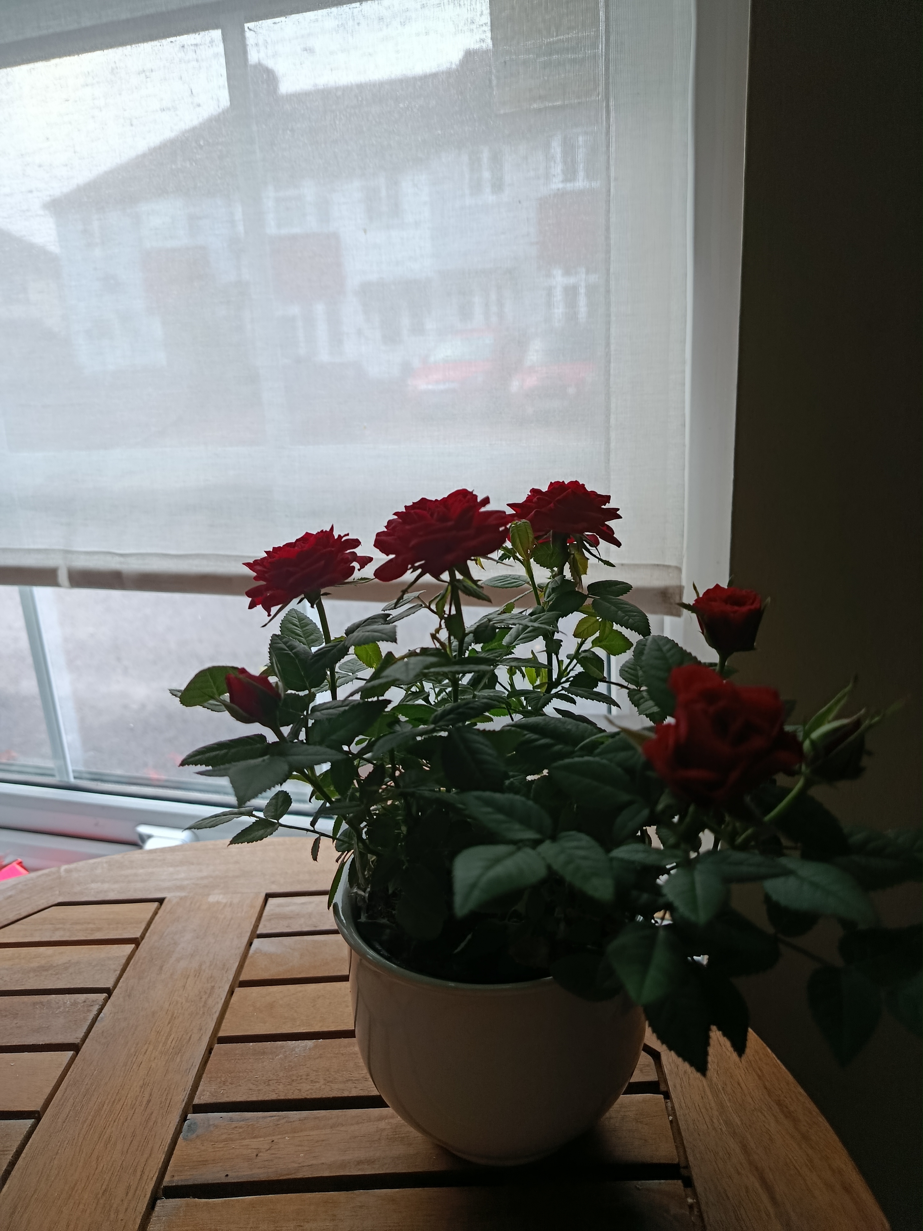 image-19