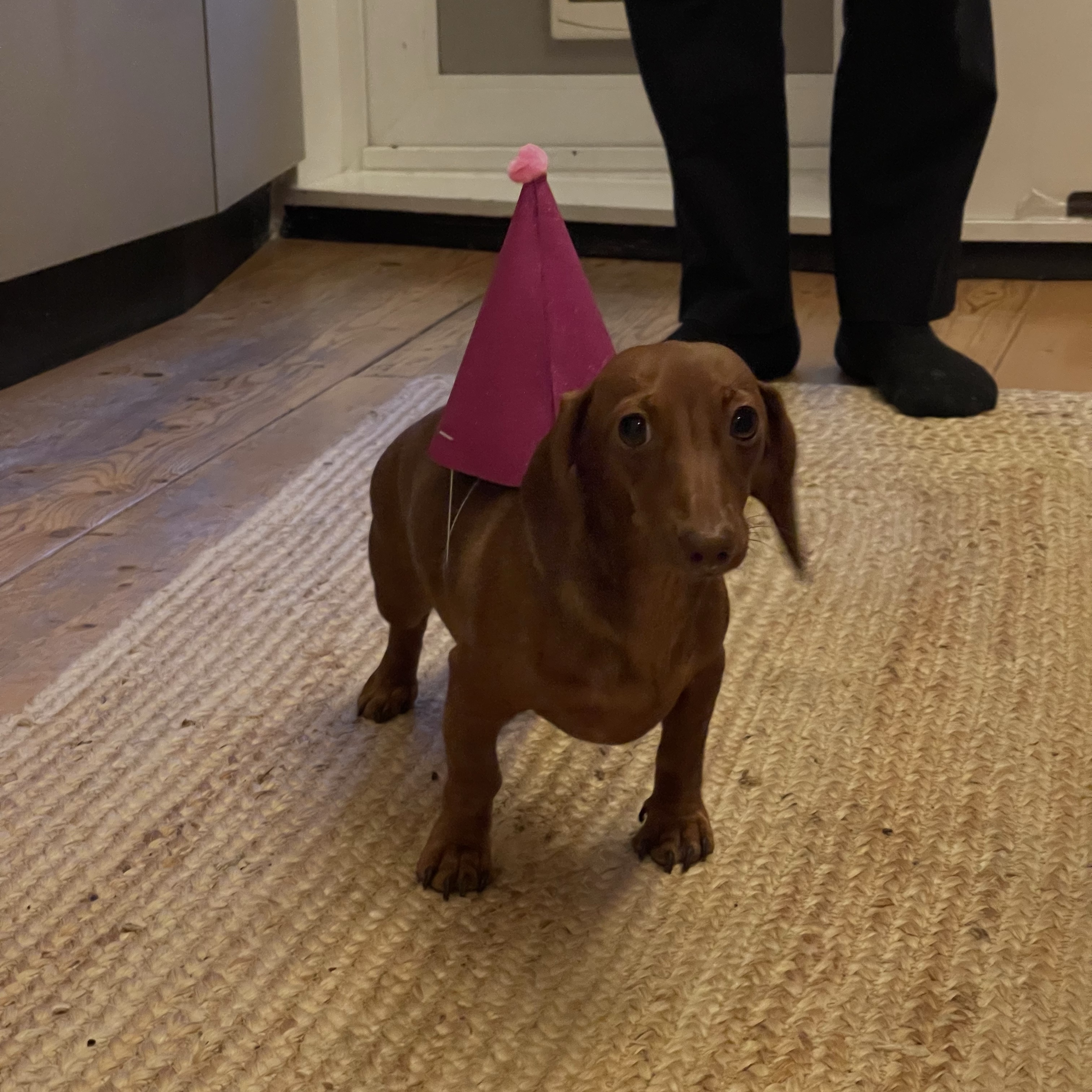Rosie