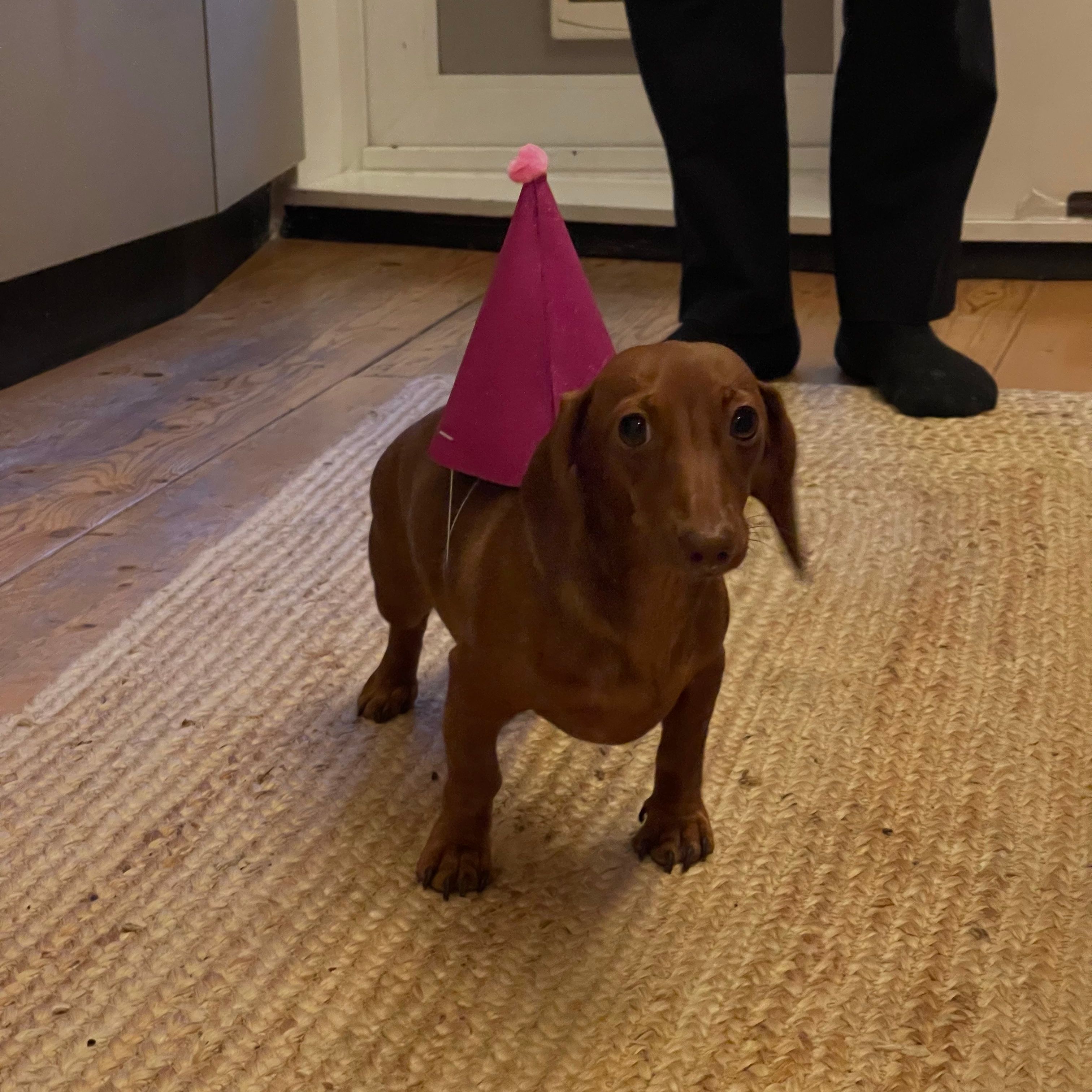 Rosie