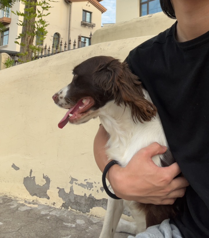 image-9