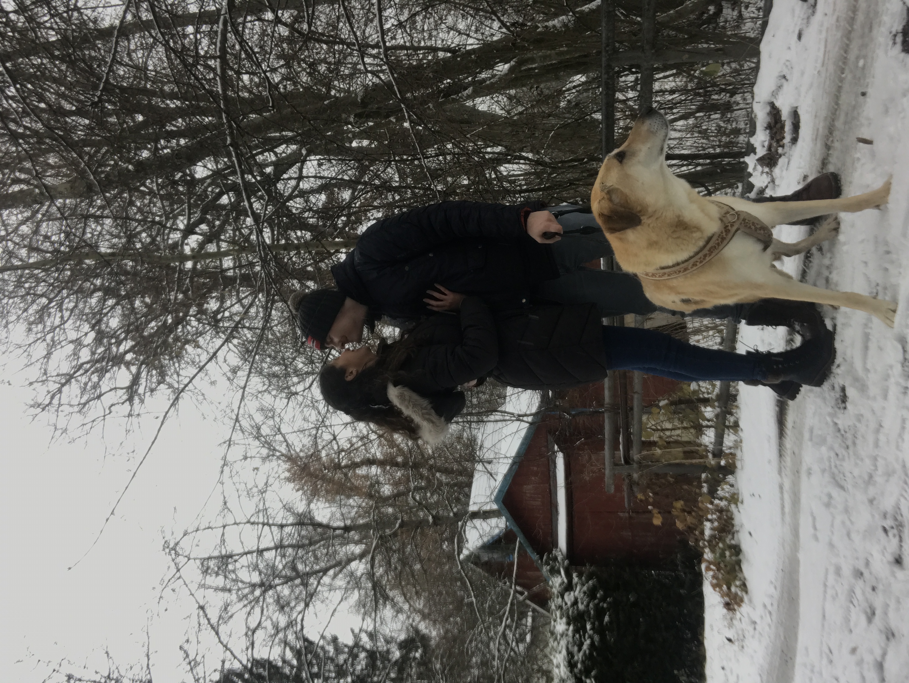 image-4