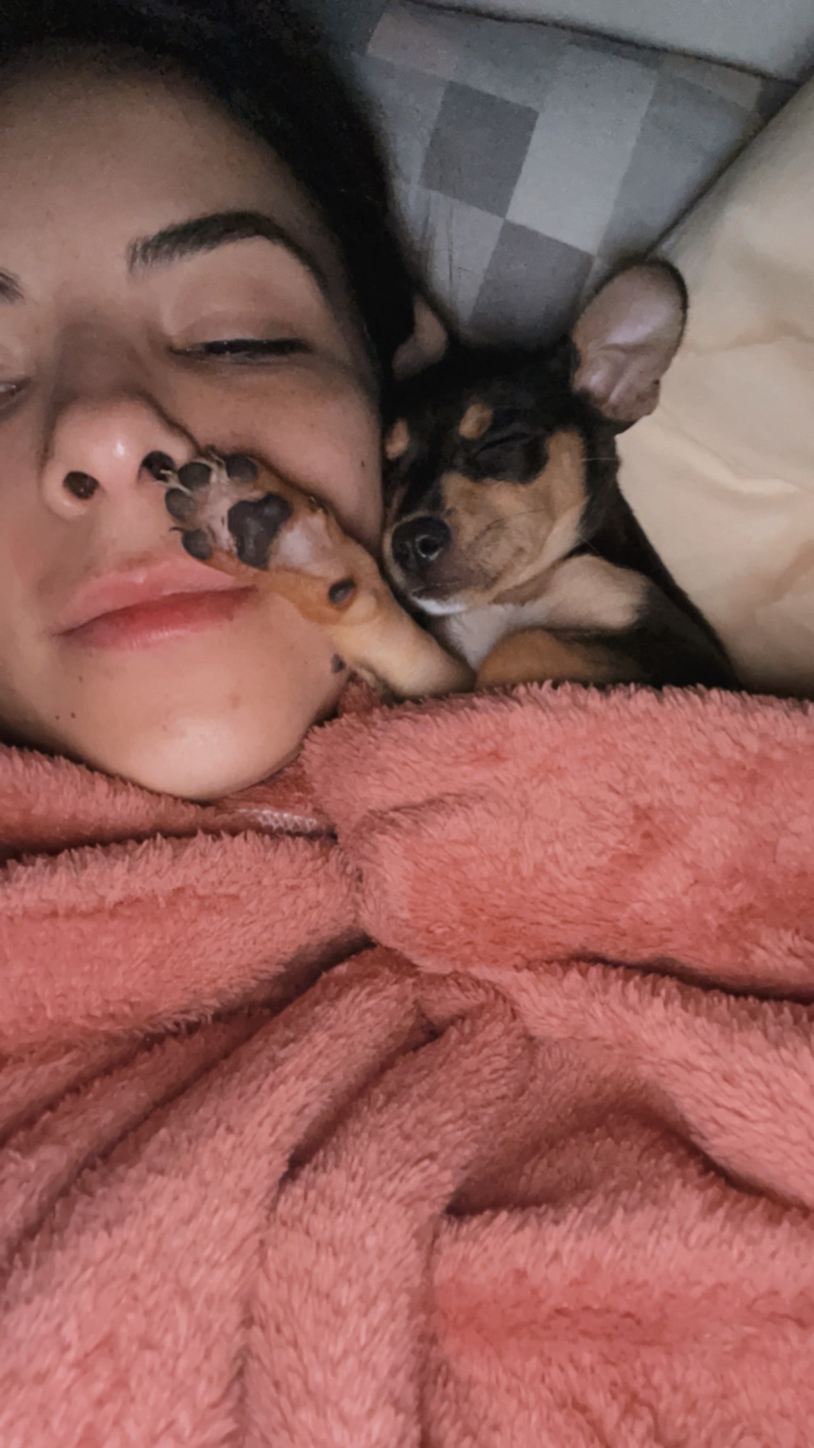 image-3