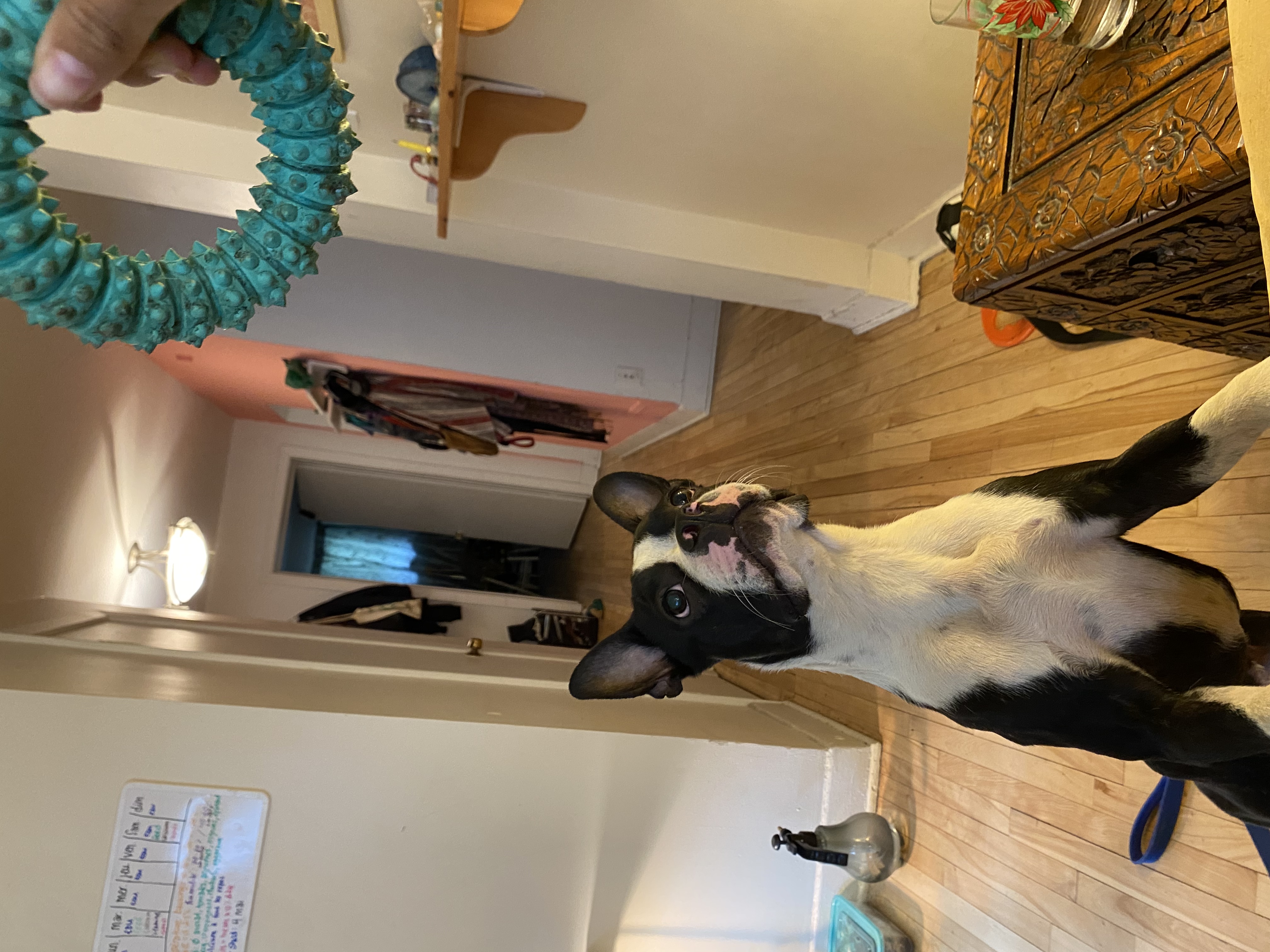 image-6