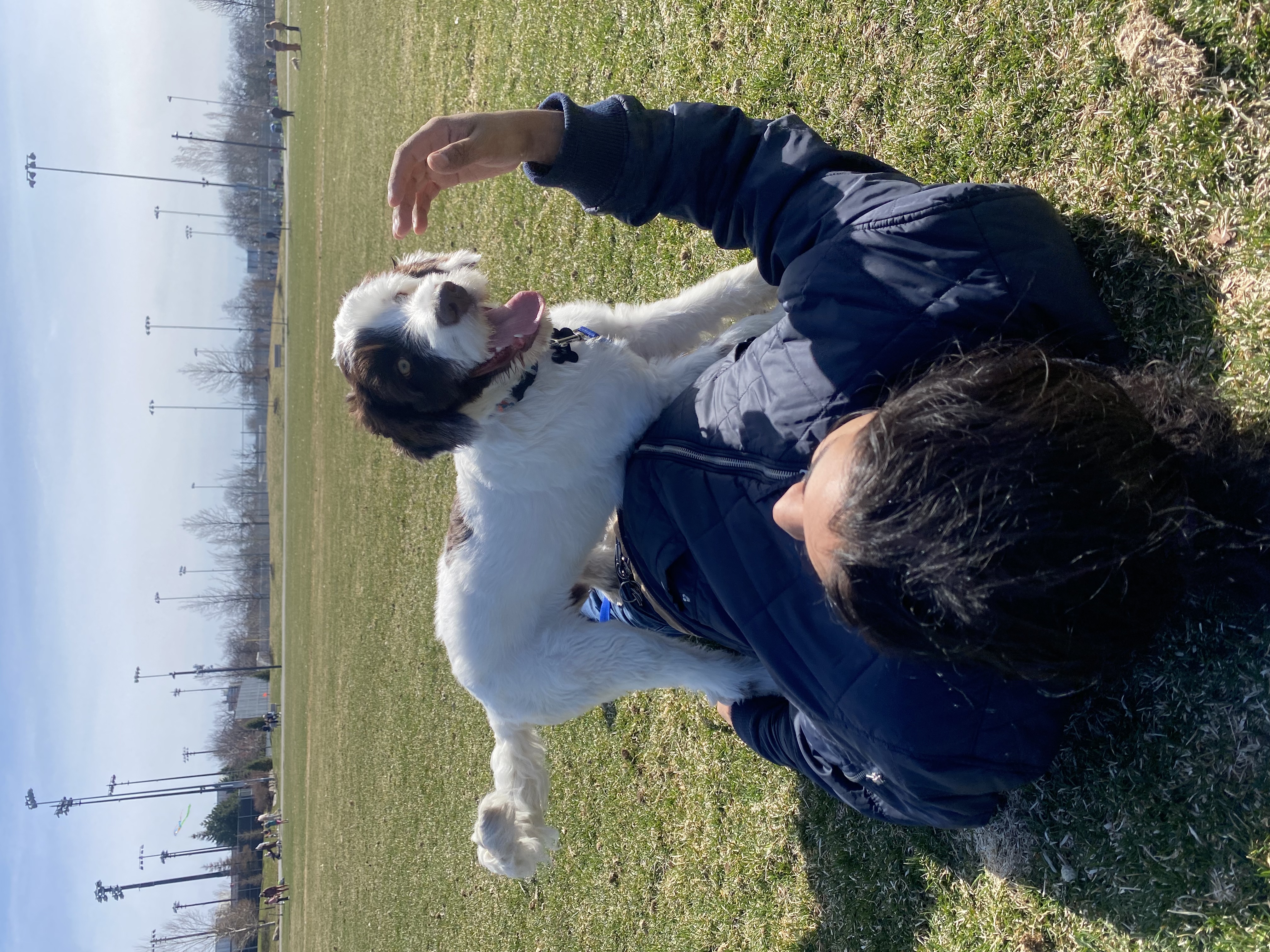 image-9