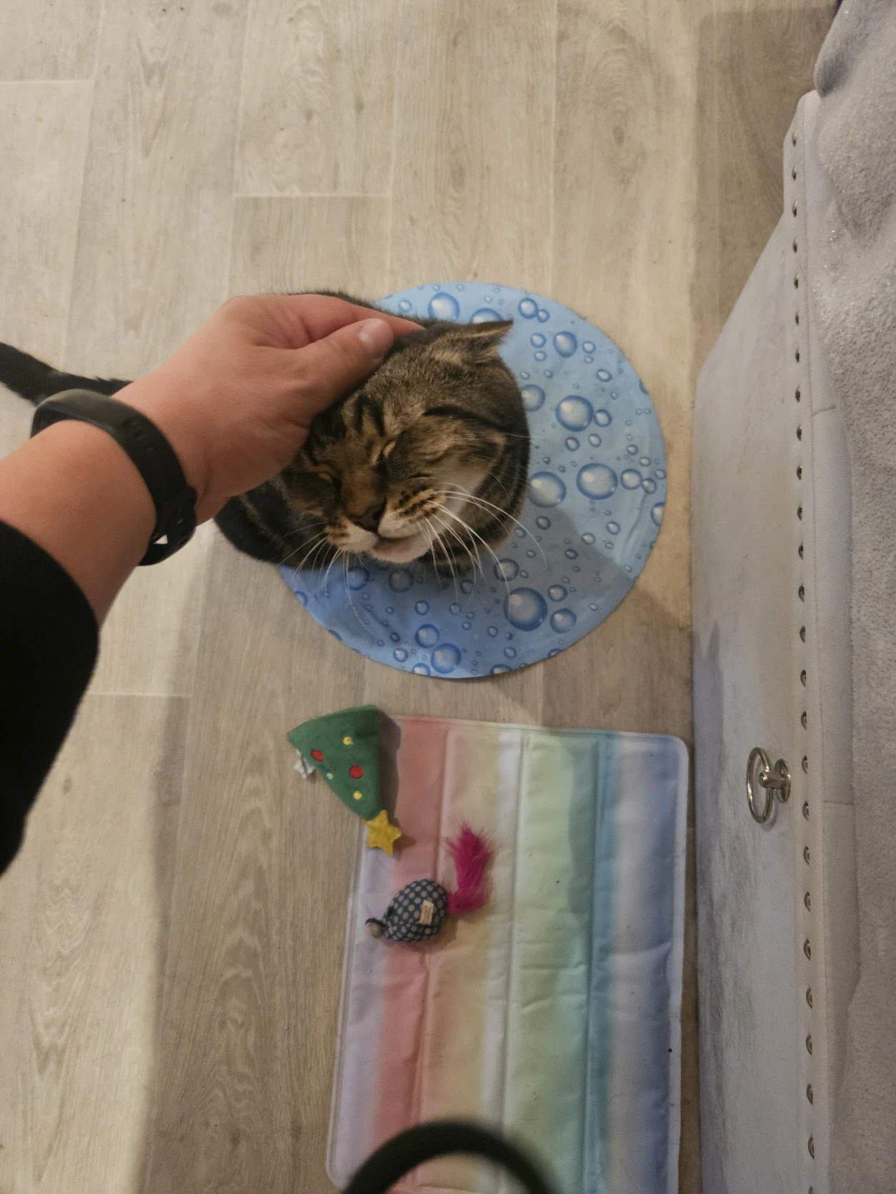 image-5