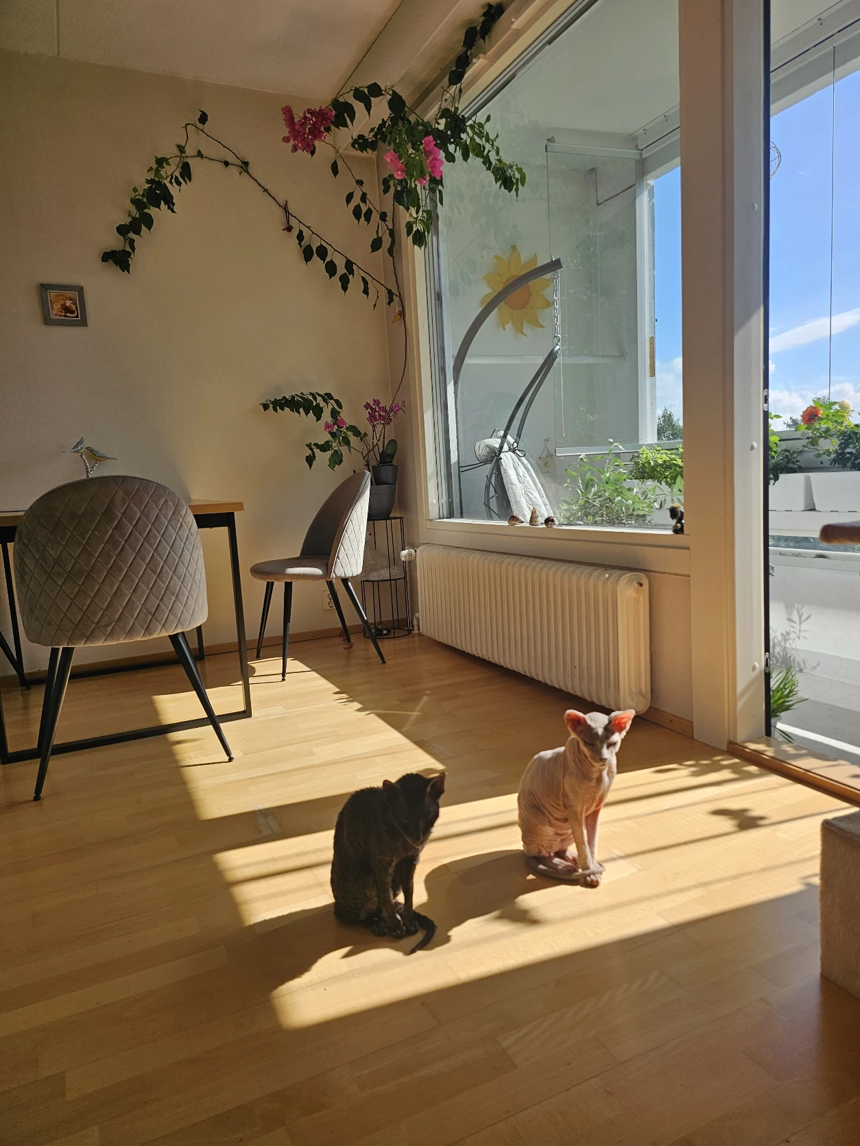 image-5