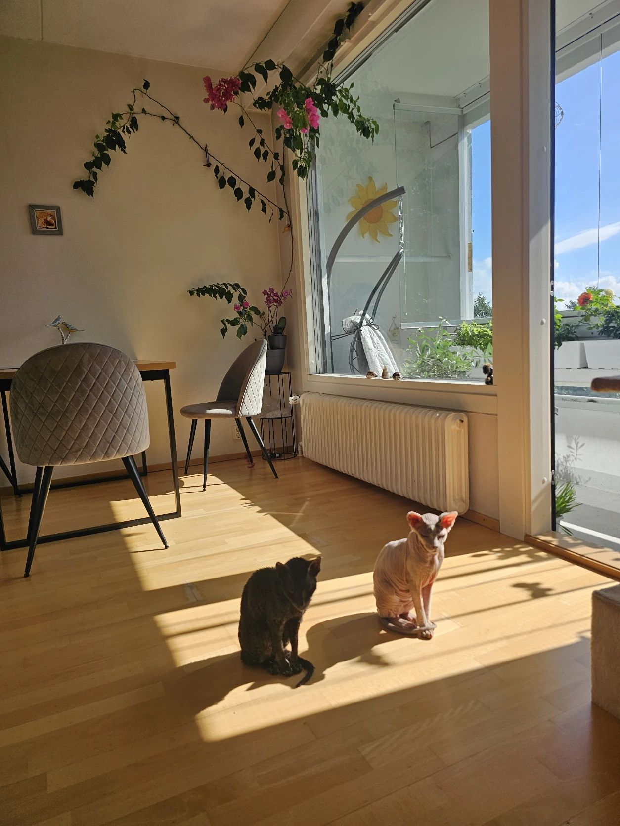 image-5