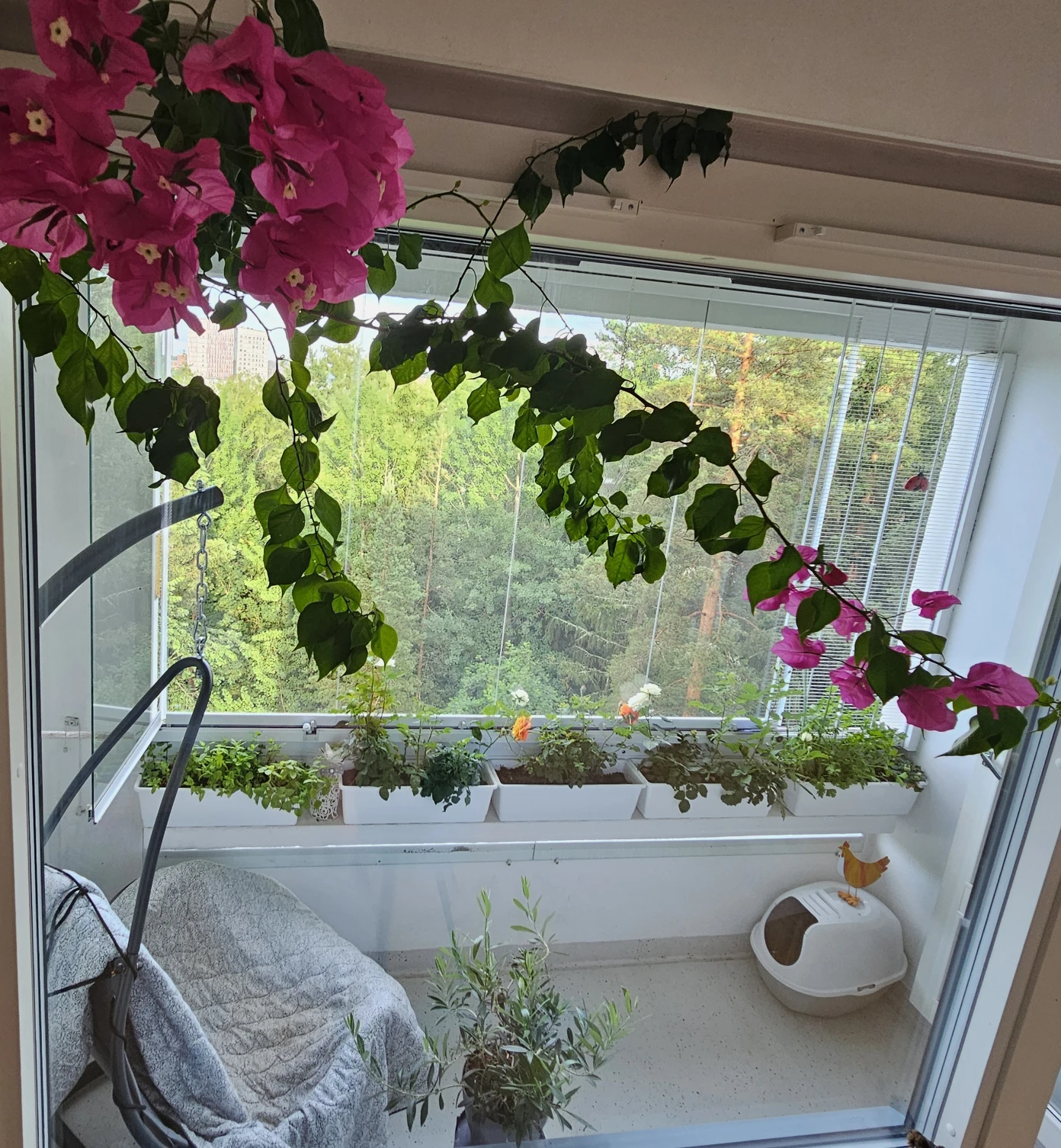 image-7
