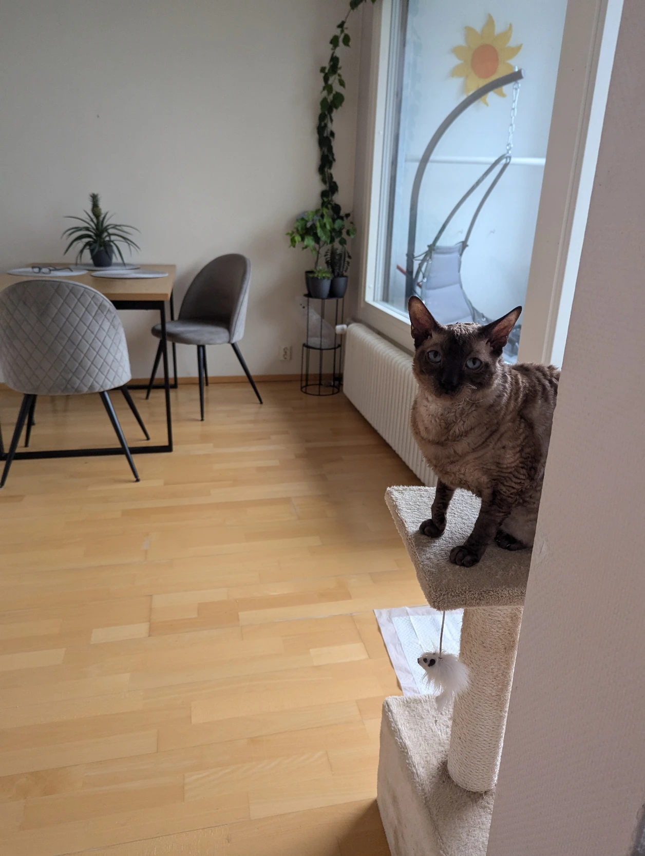 image-13