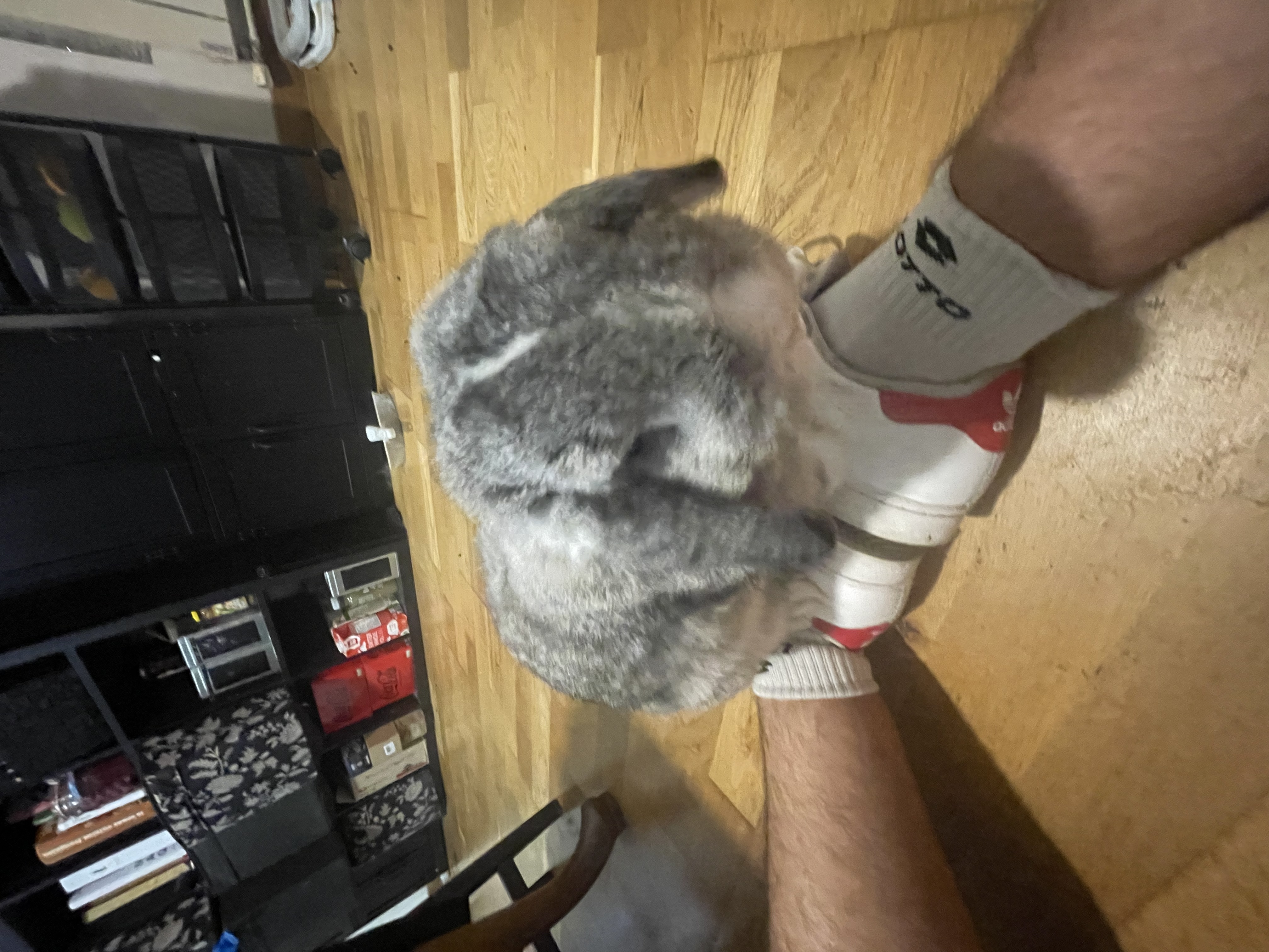 image-1