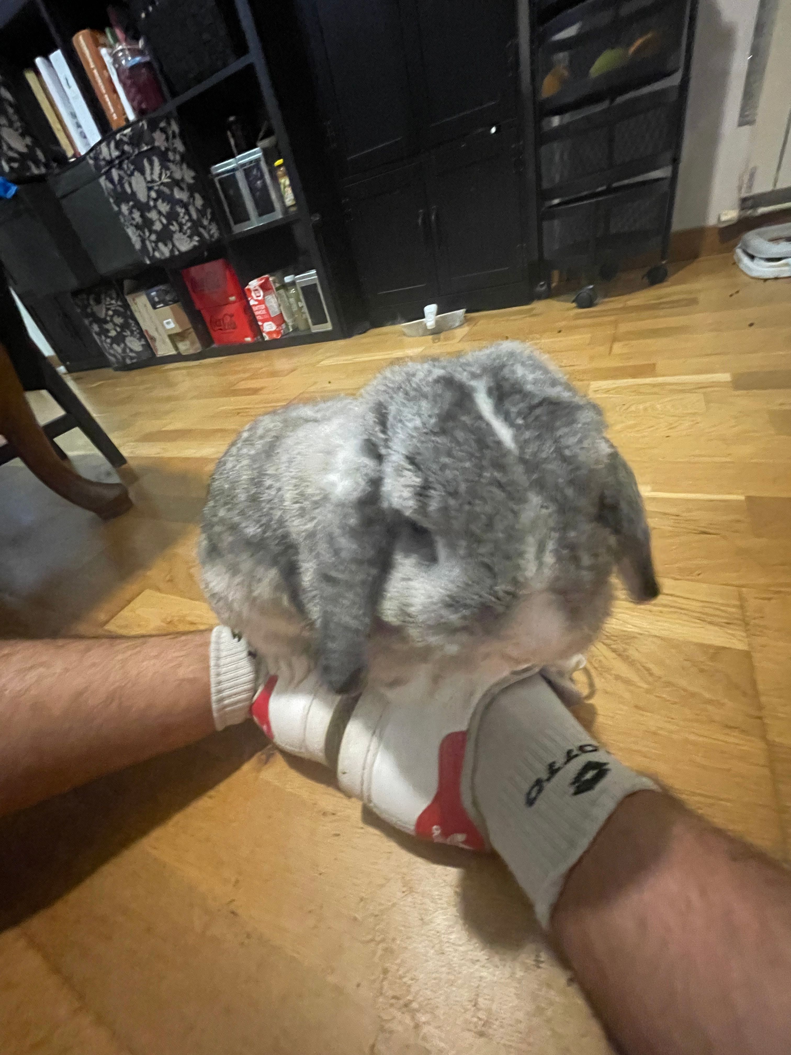 image-1
