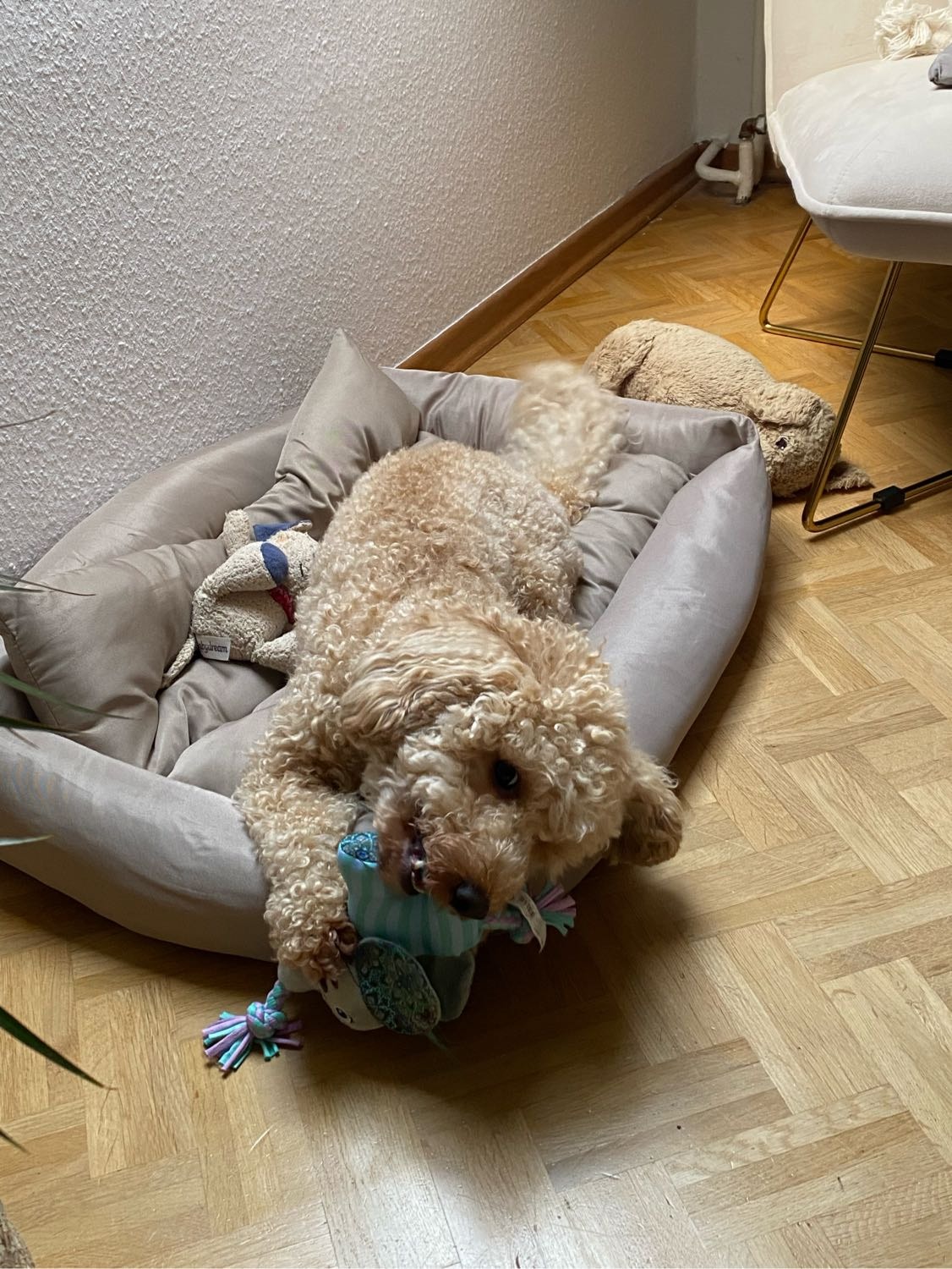 image-3
