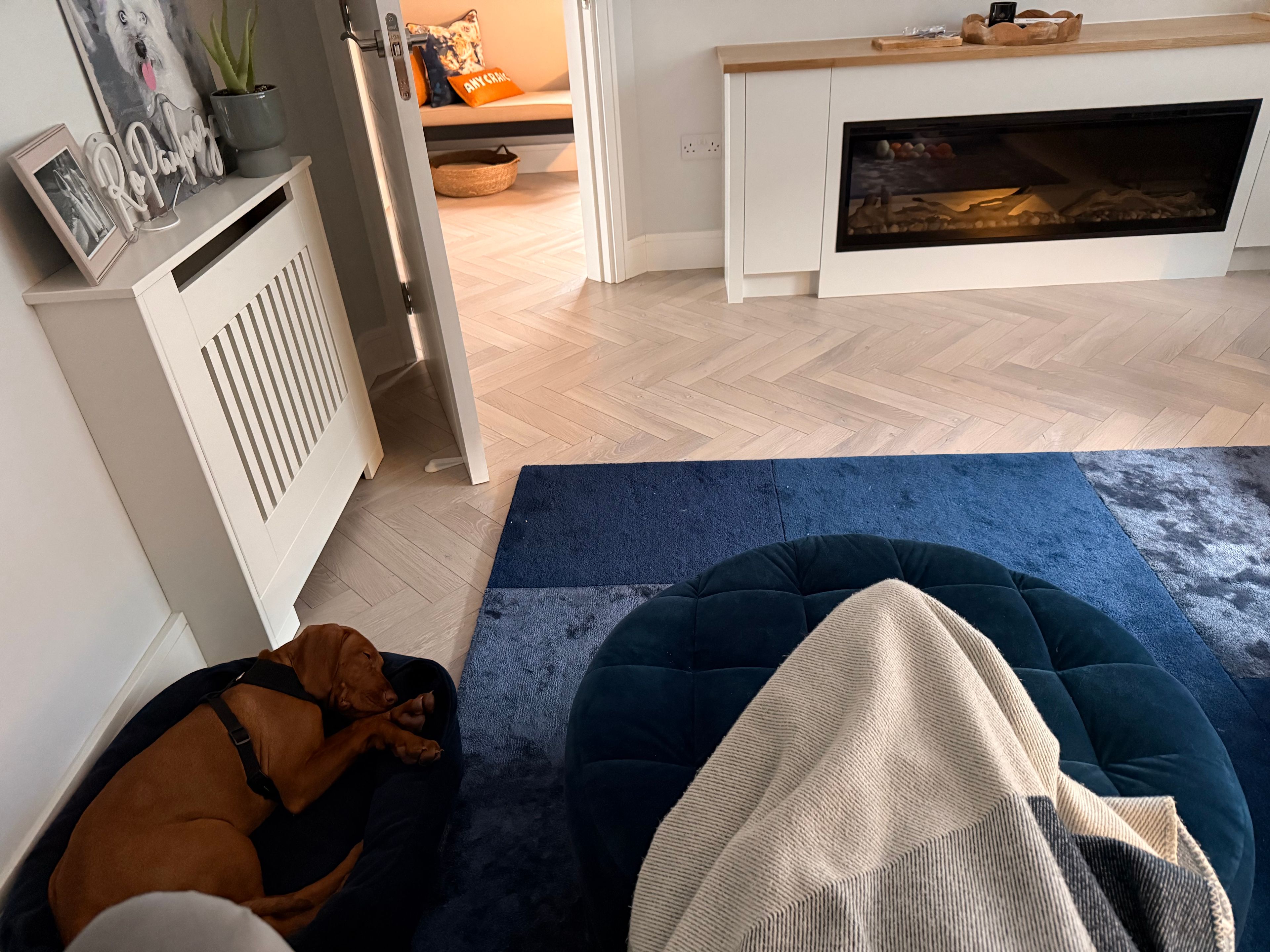 image-9