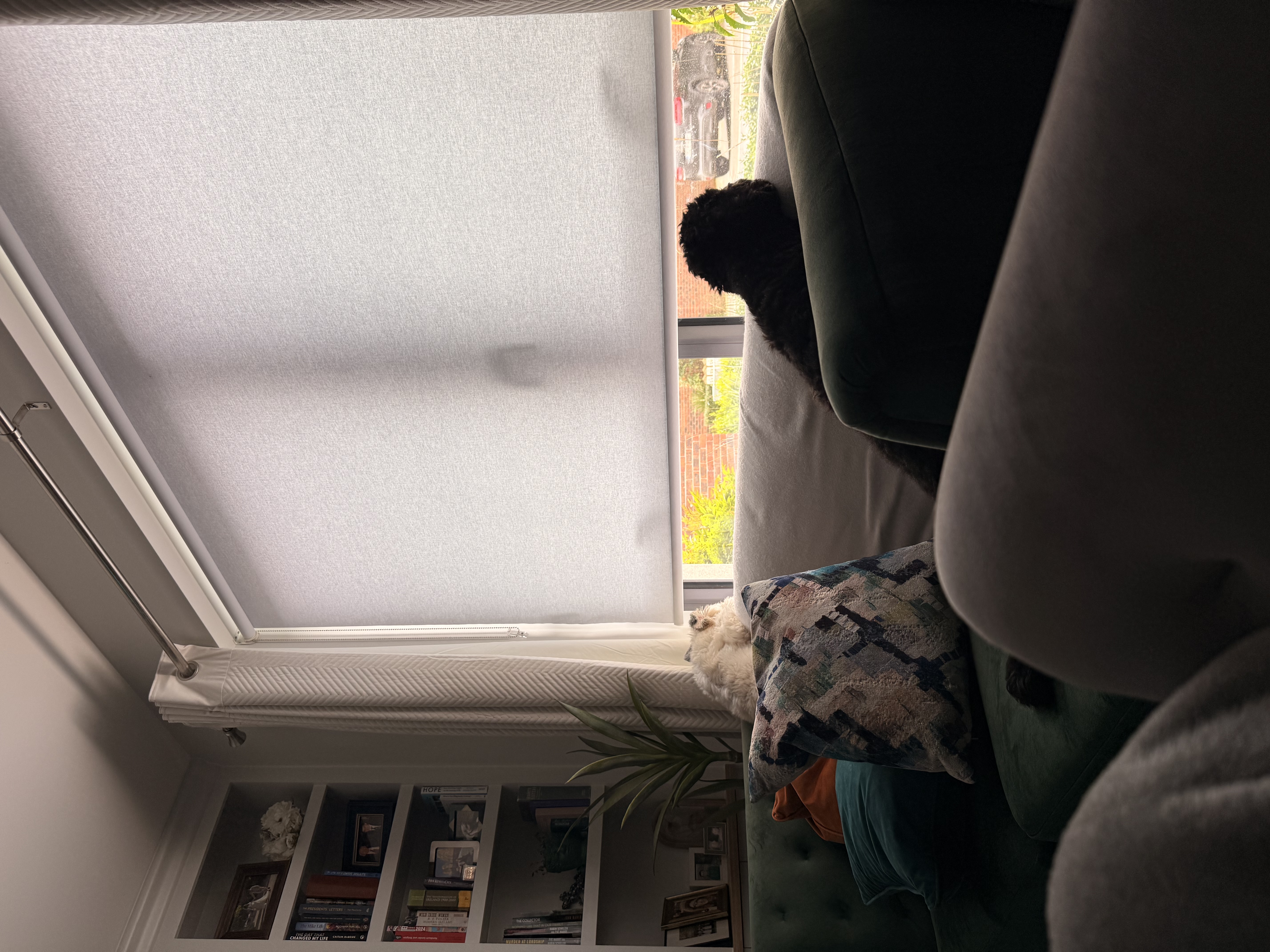 image-11
