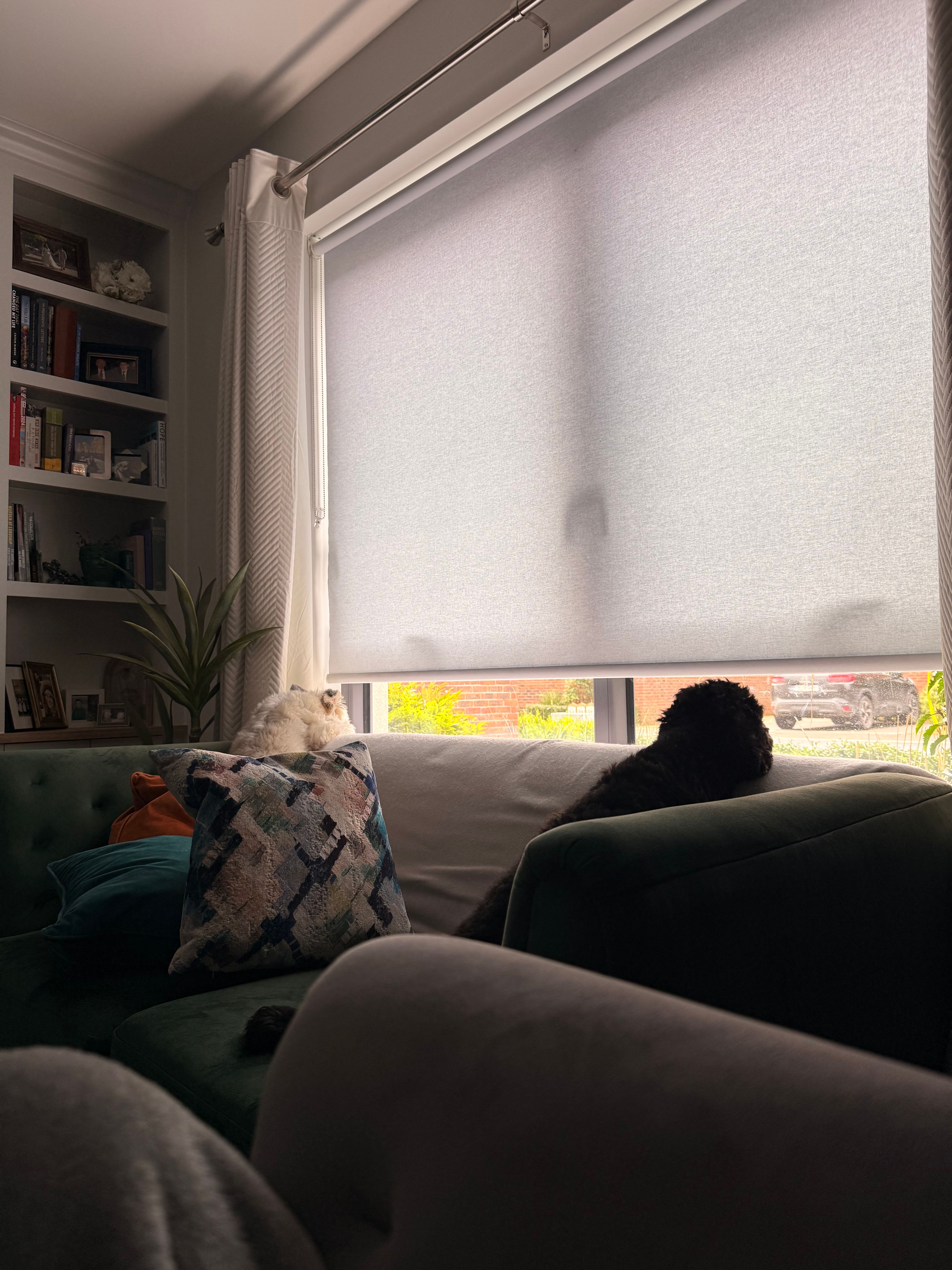 image-11