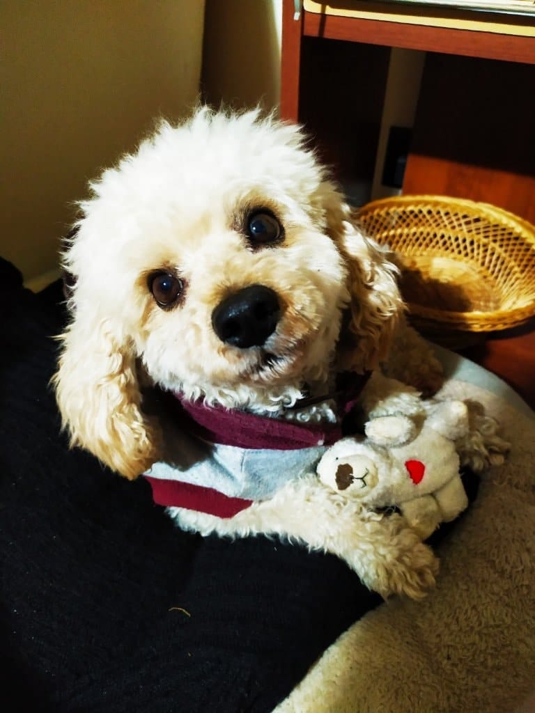 image-5