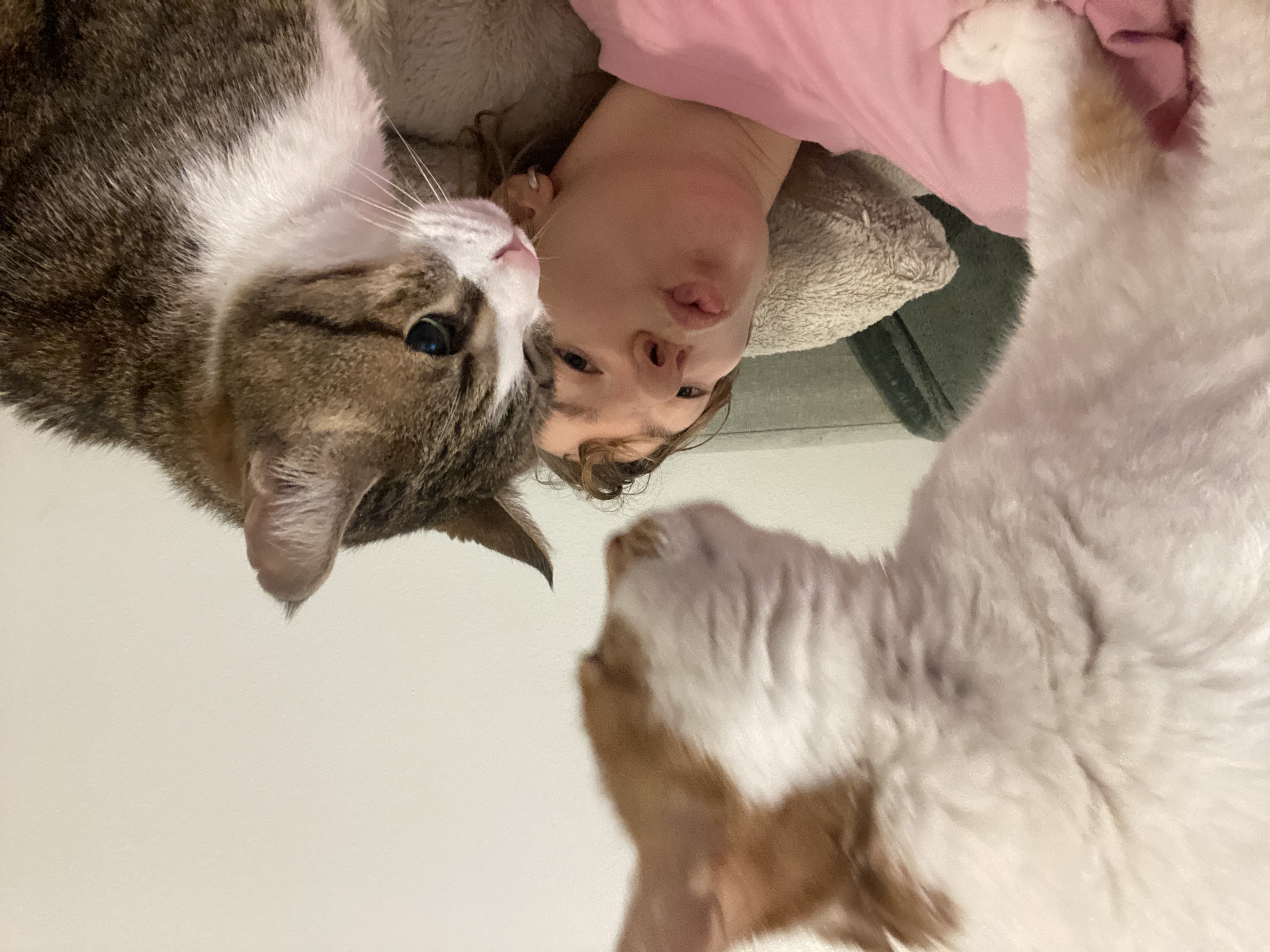 image-8