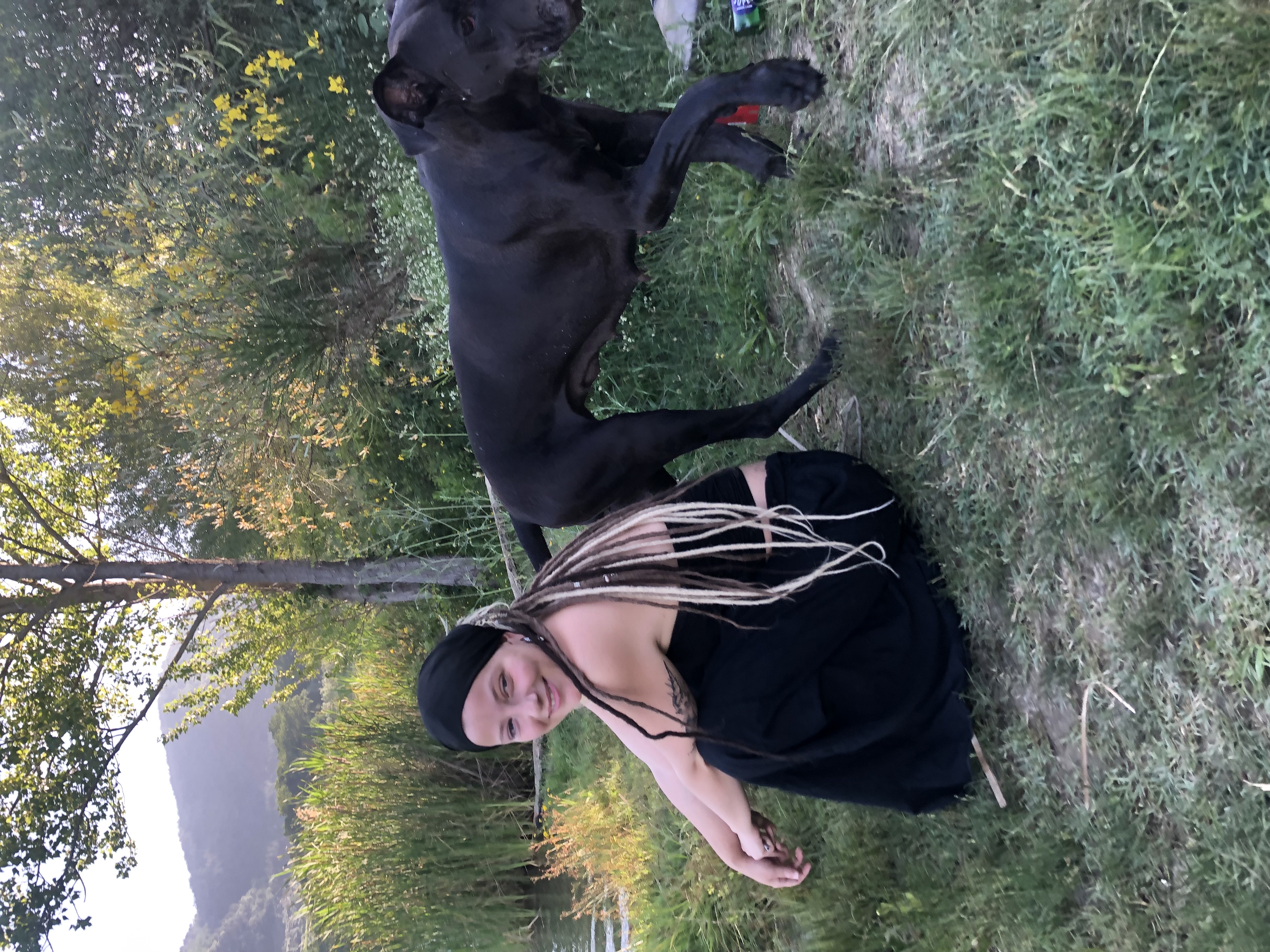 image-11