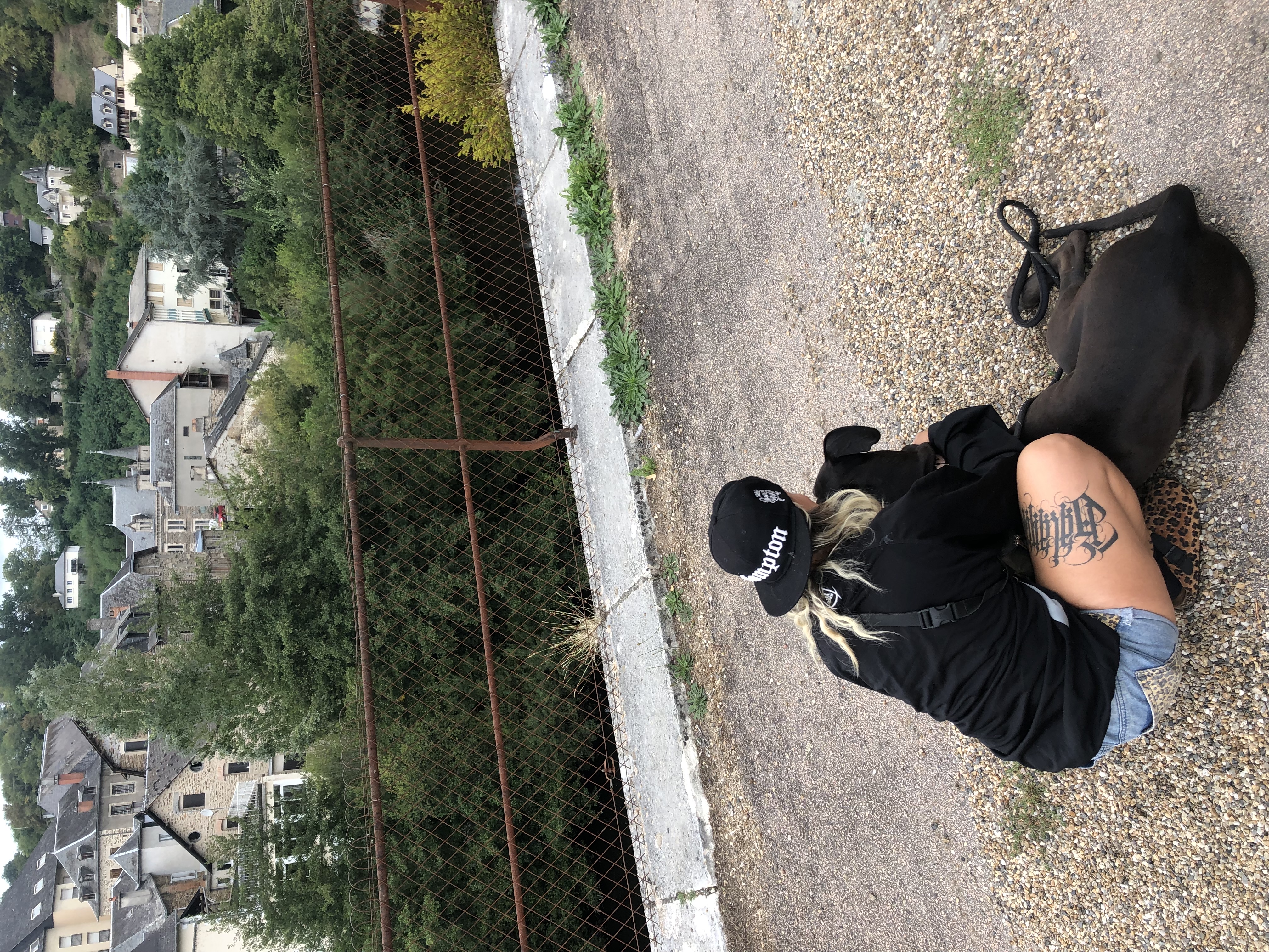 image-8
