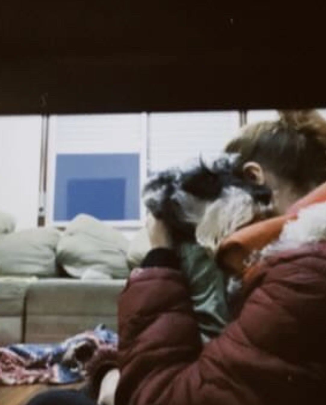 image-6
