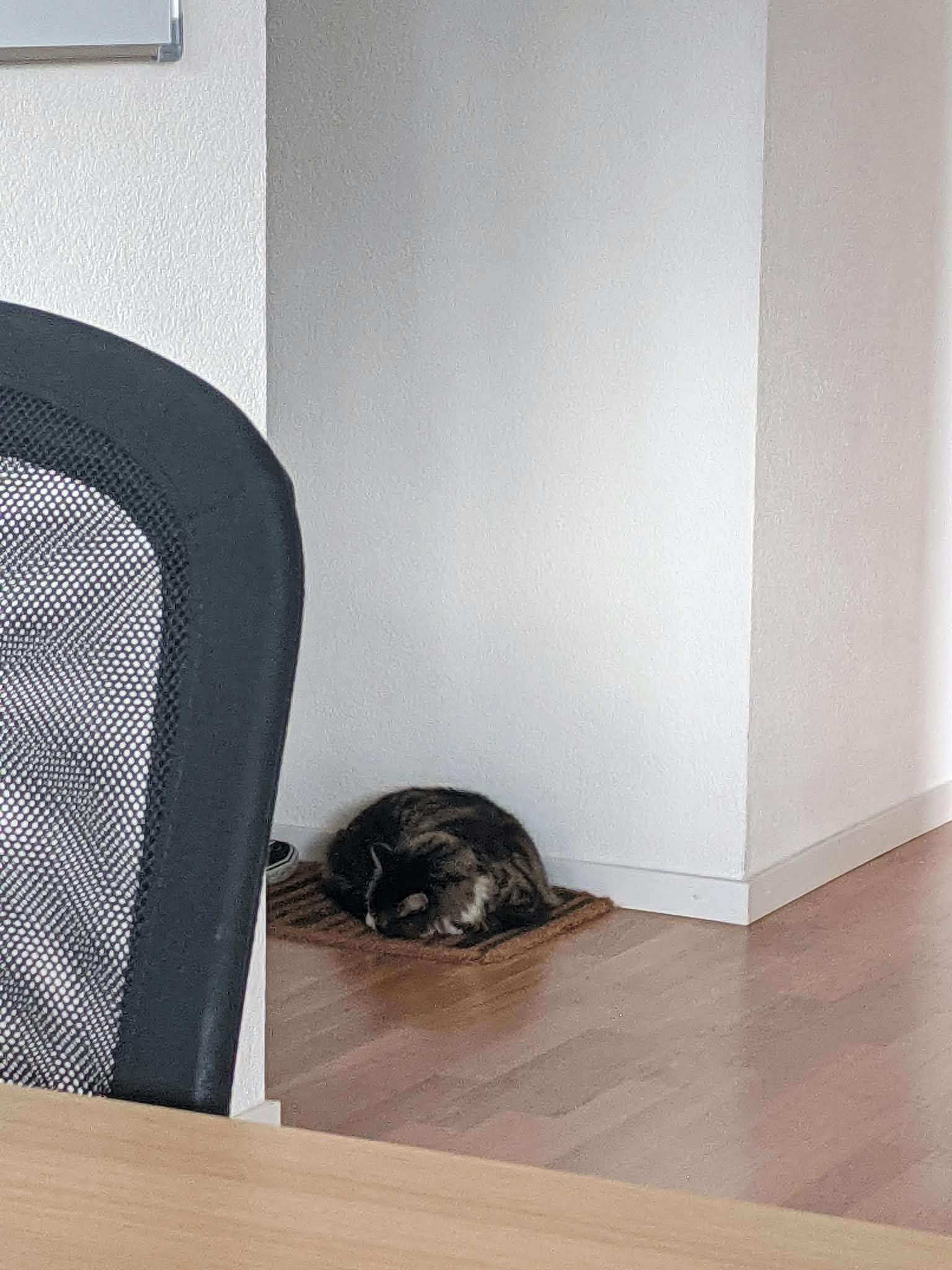 image-6