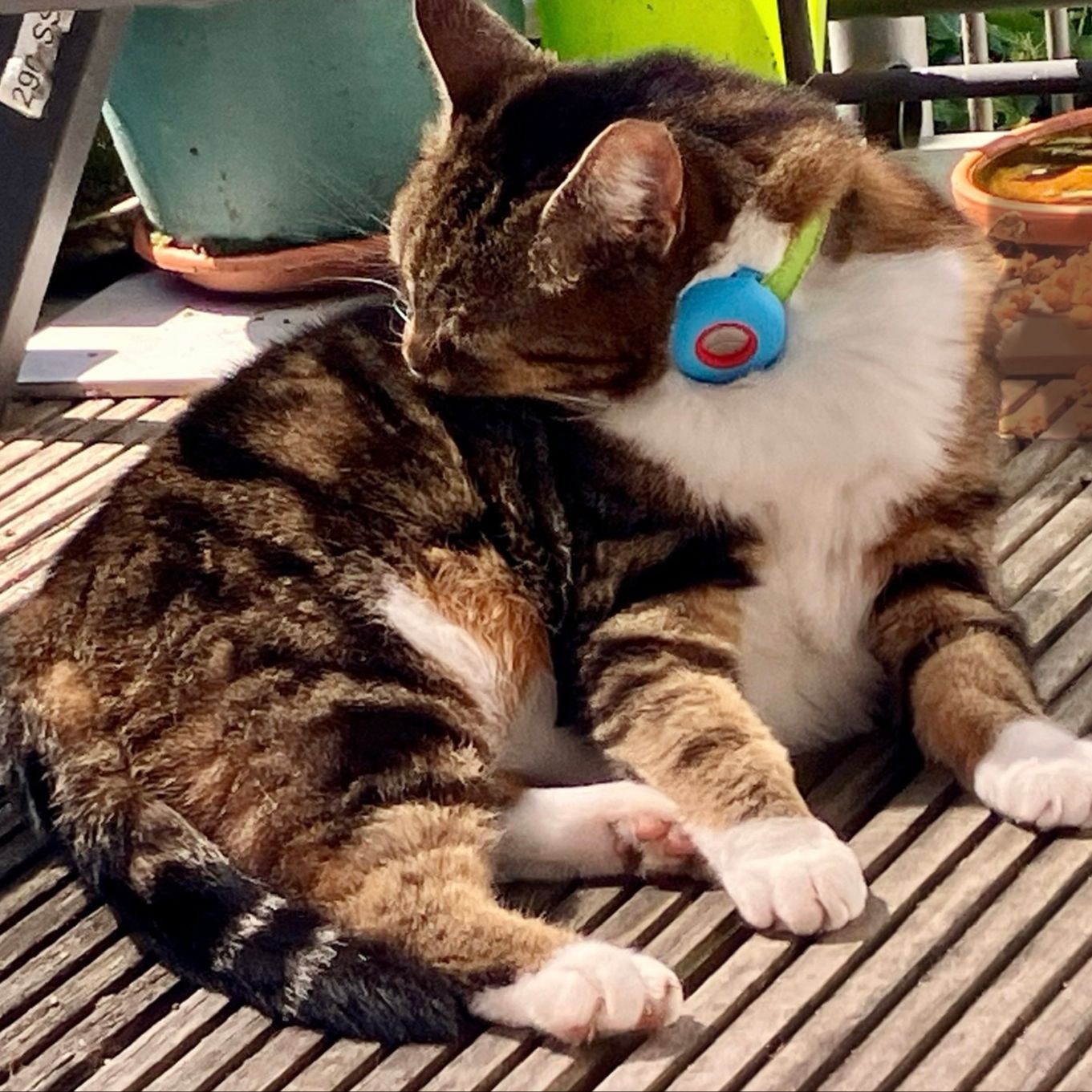 Luna
