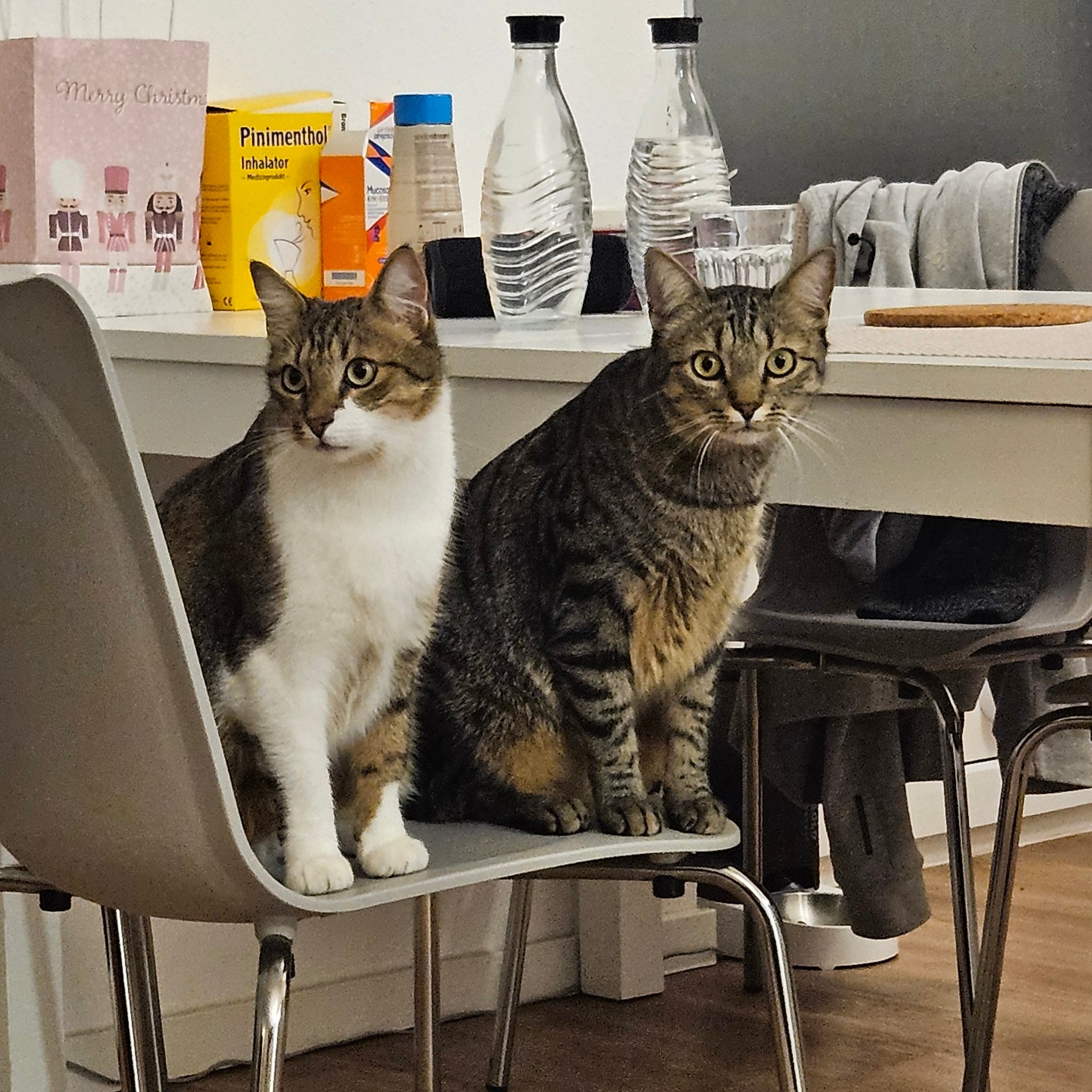 Katrin & Janis