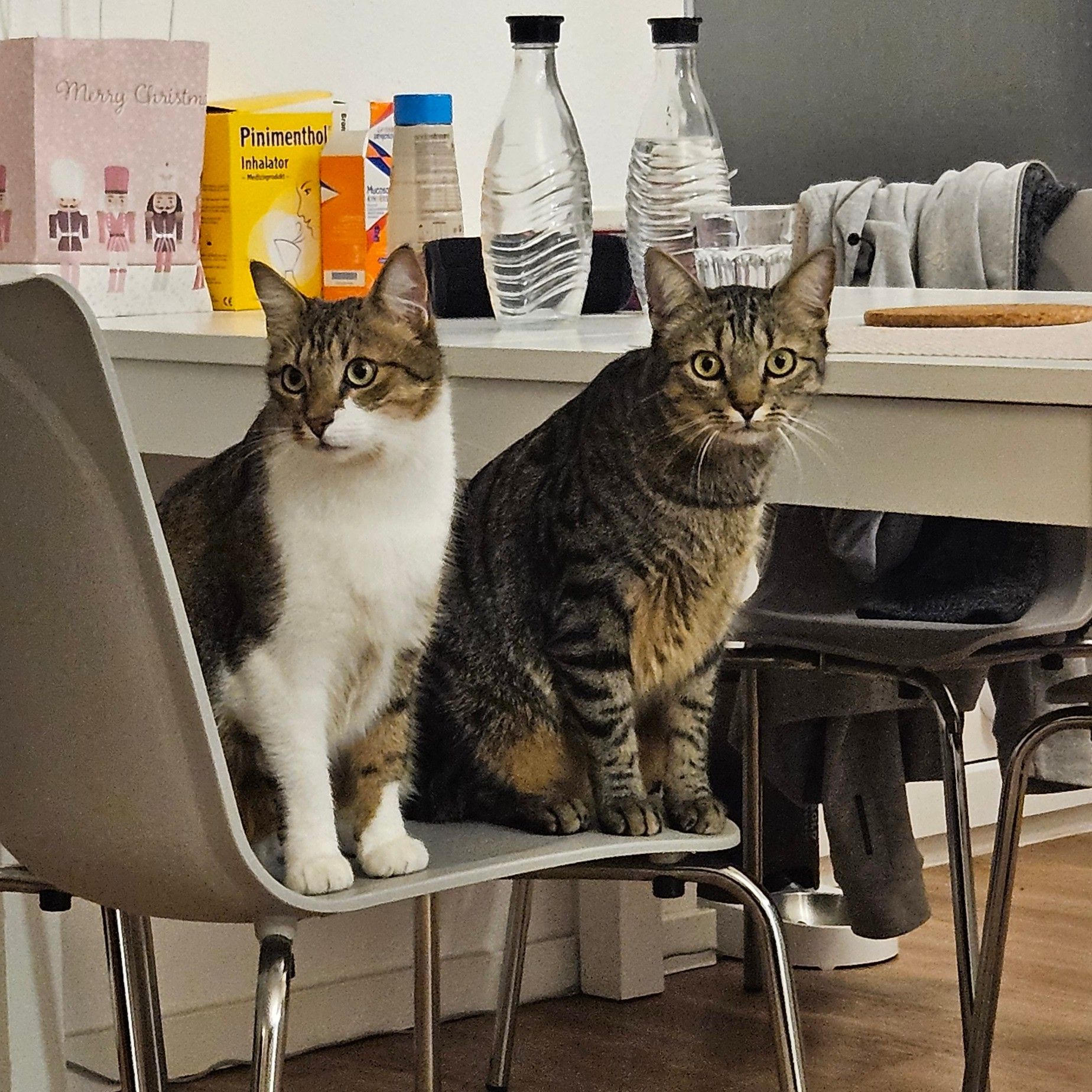 Katrin & Janis