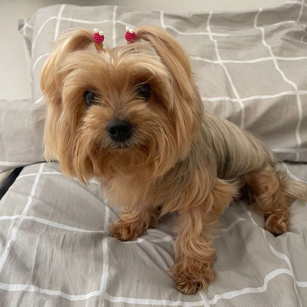 Jully
