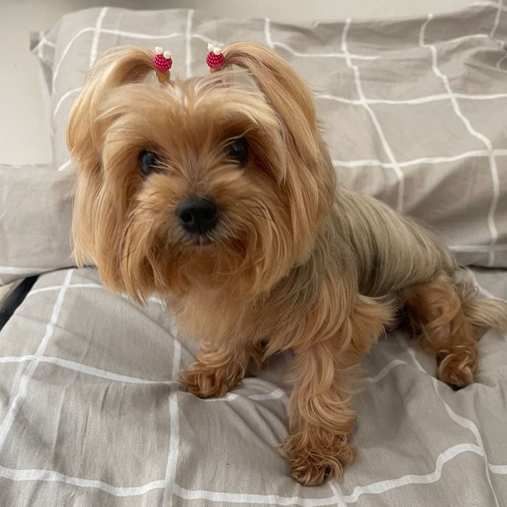 Jully