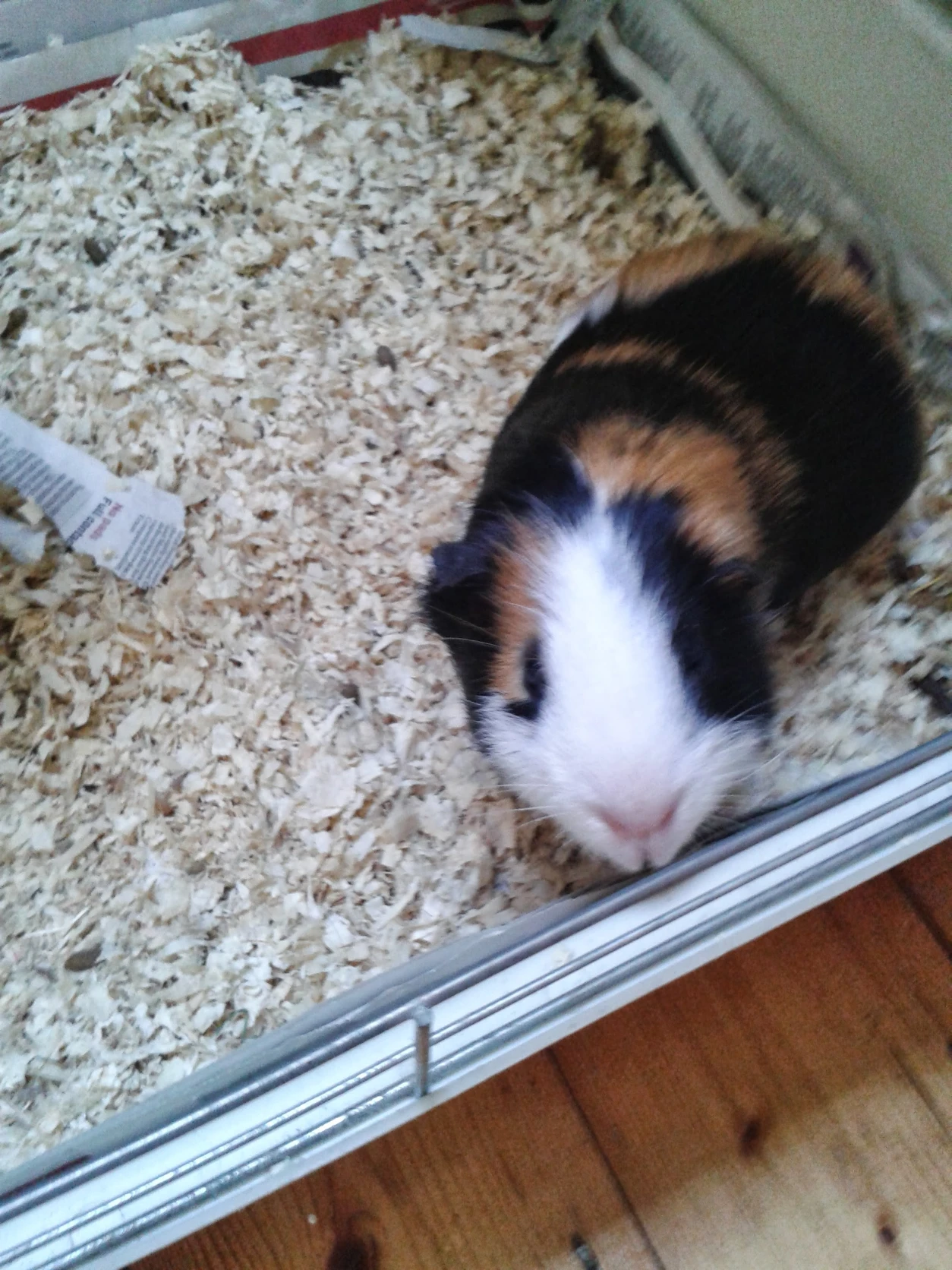 image-4