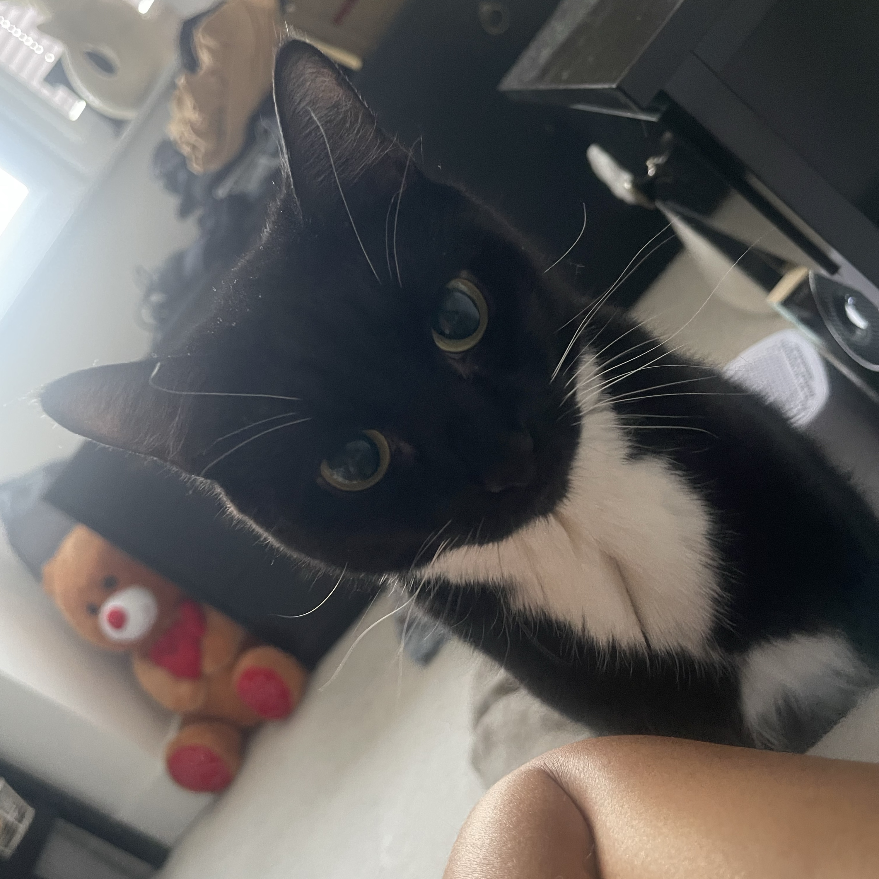 Luna