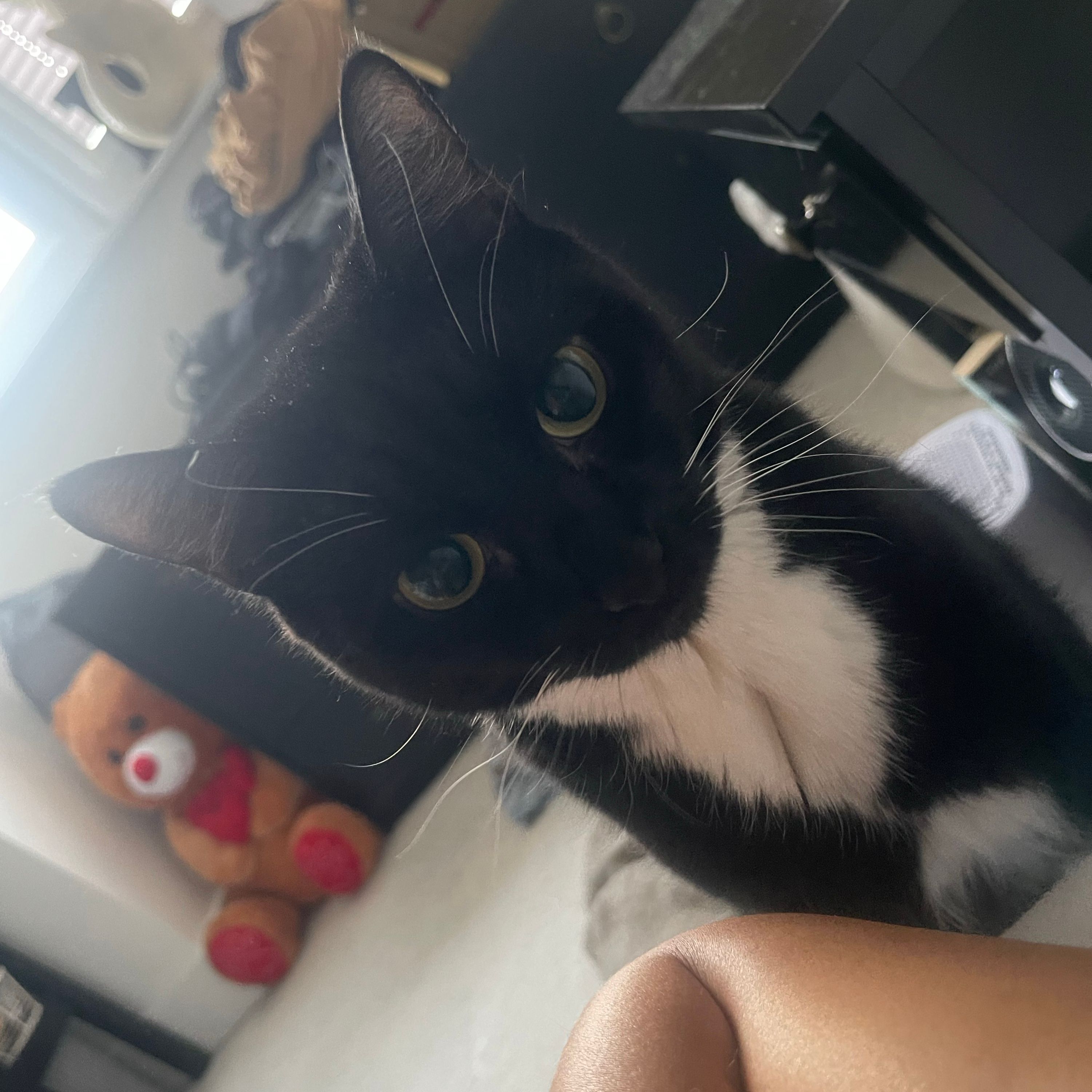 Luna