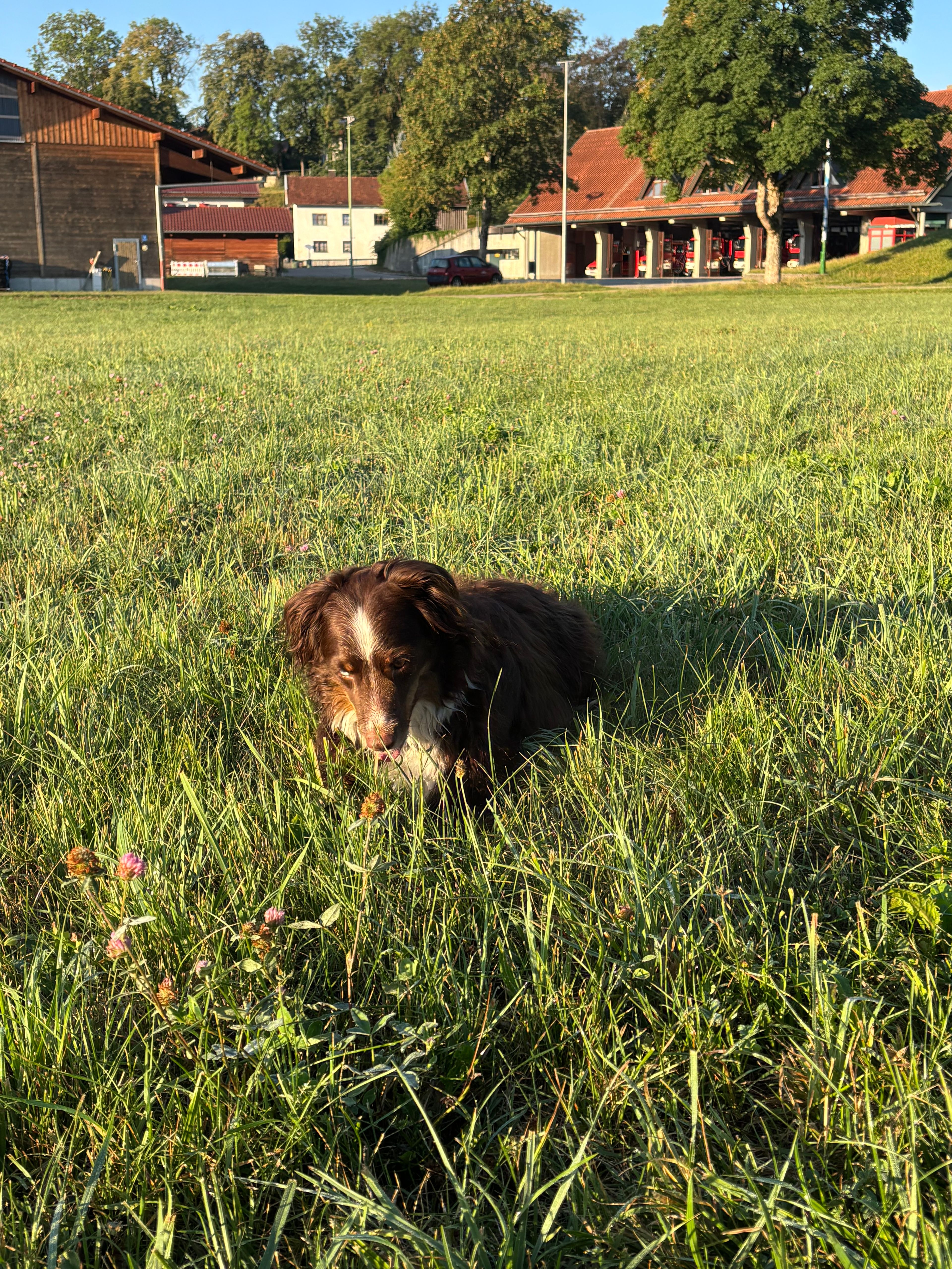 image-15