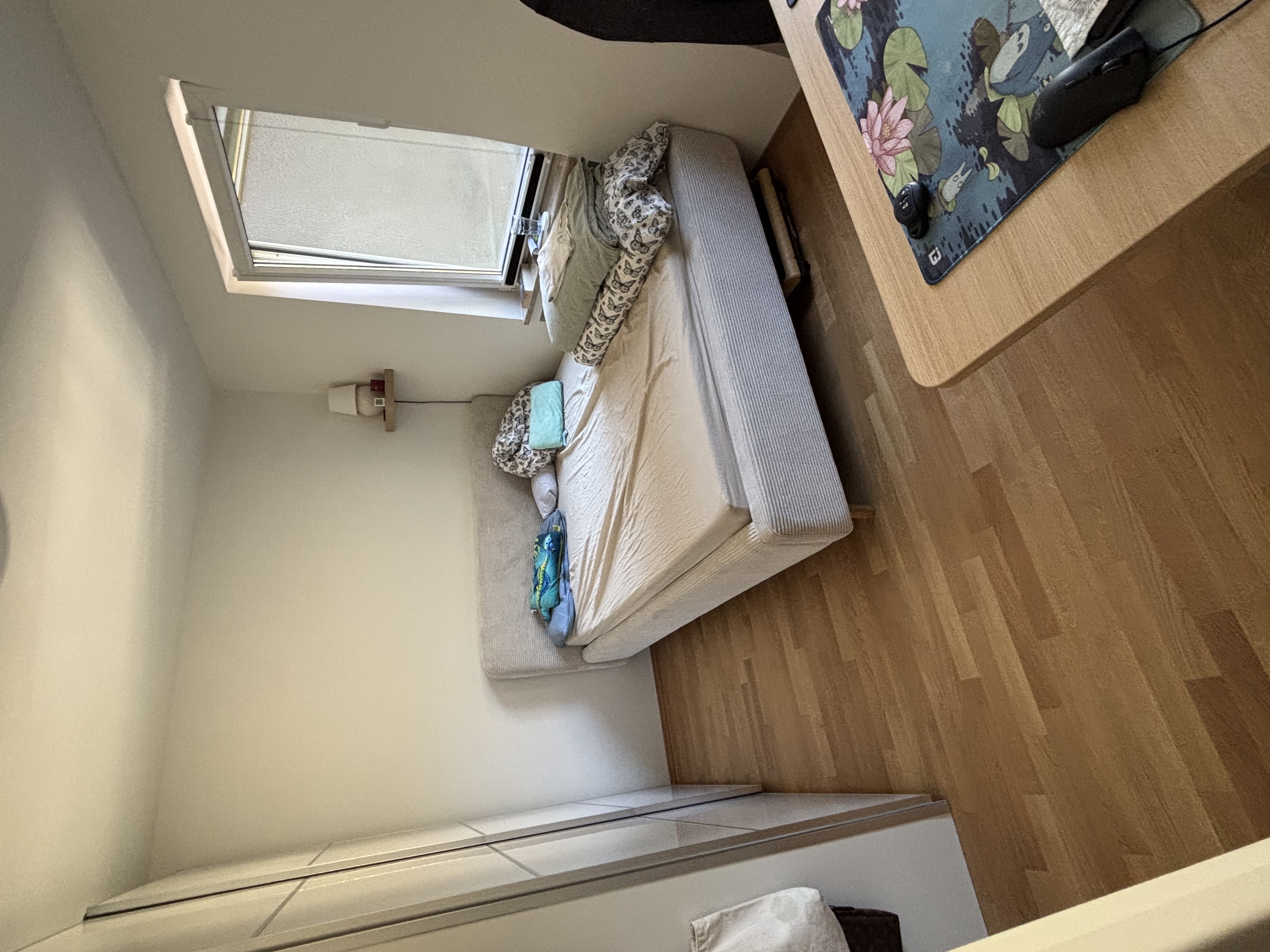 image-19