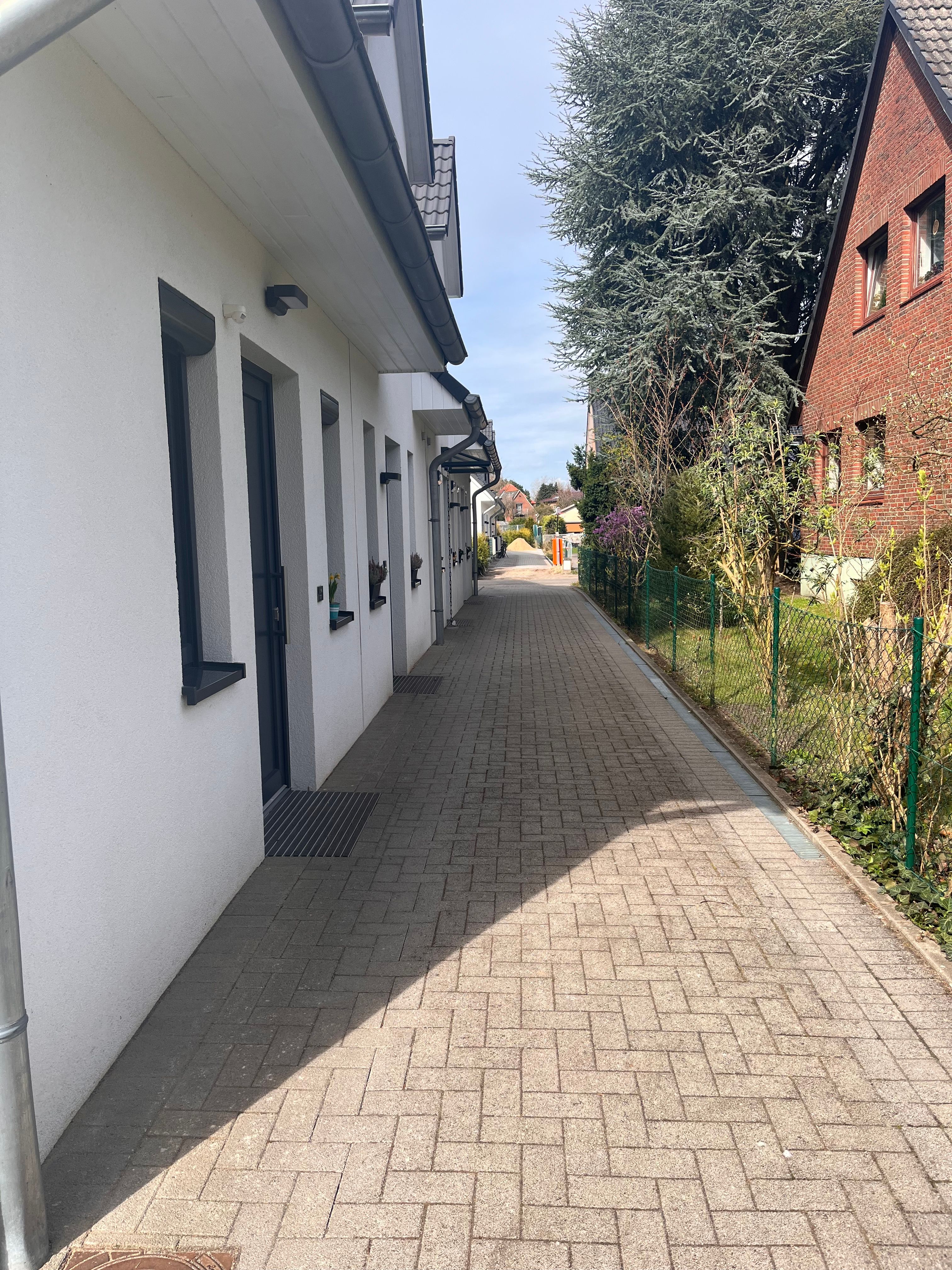 image-19