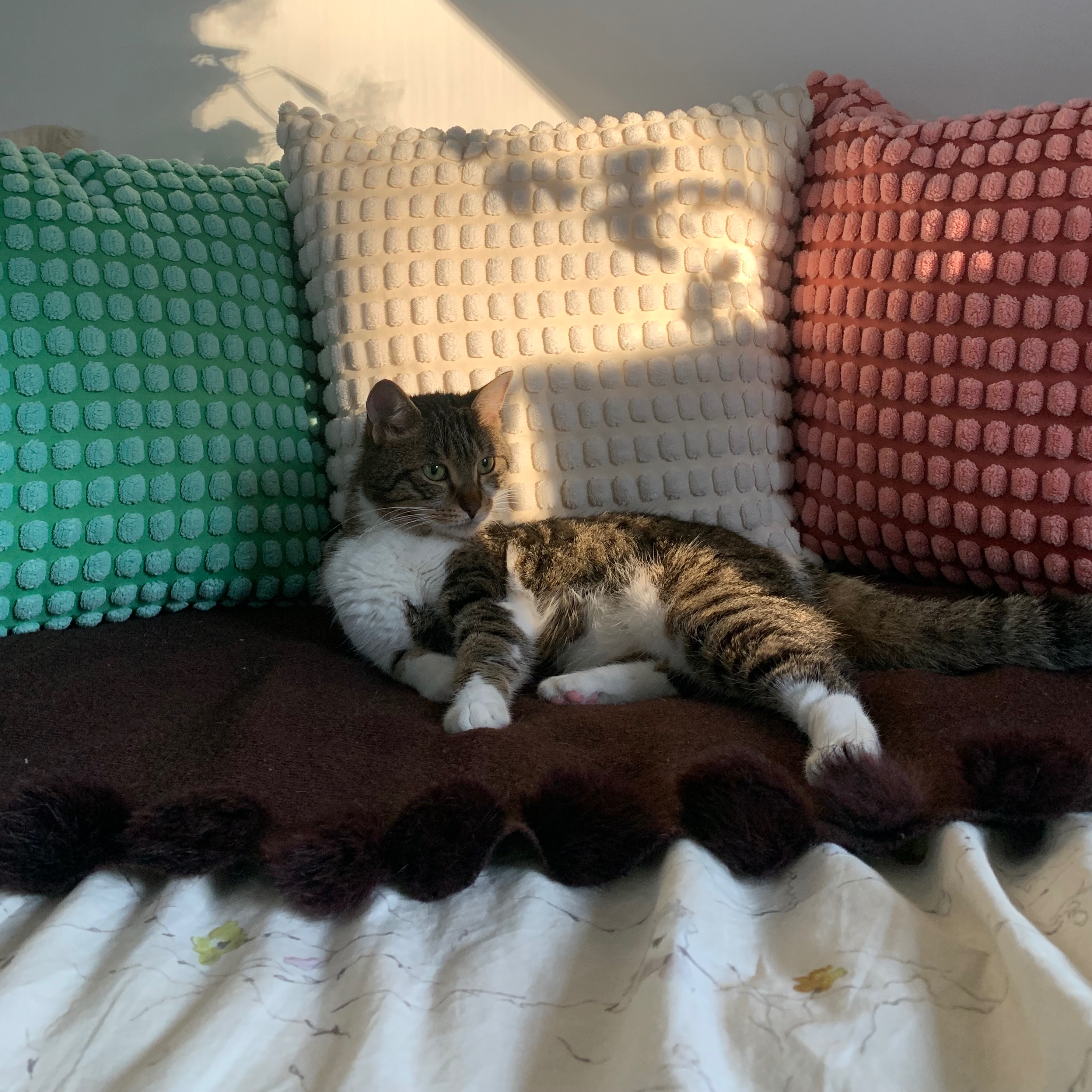 Artemis