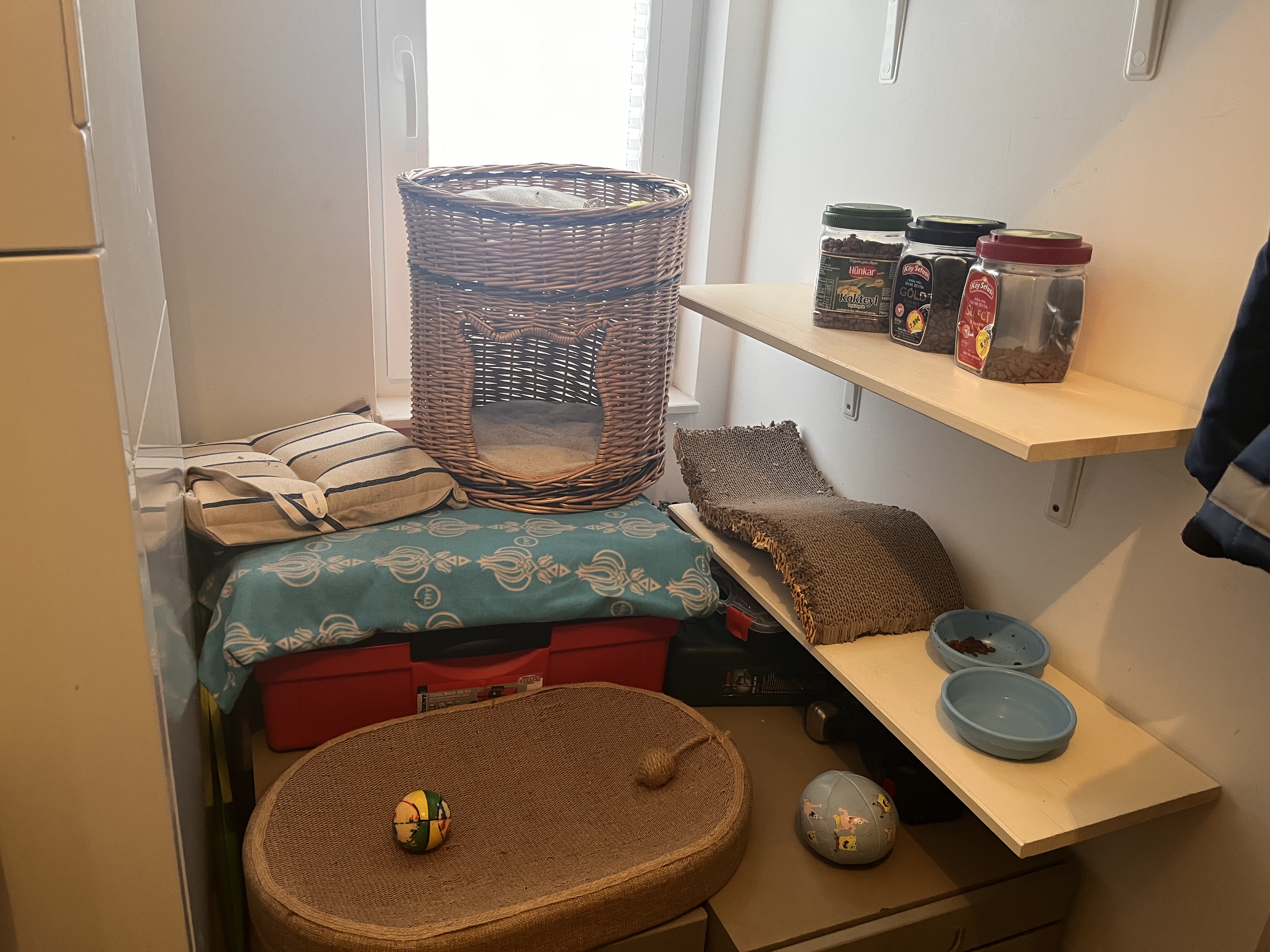 image-18