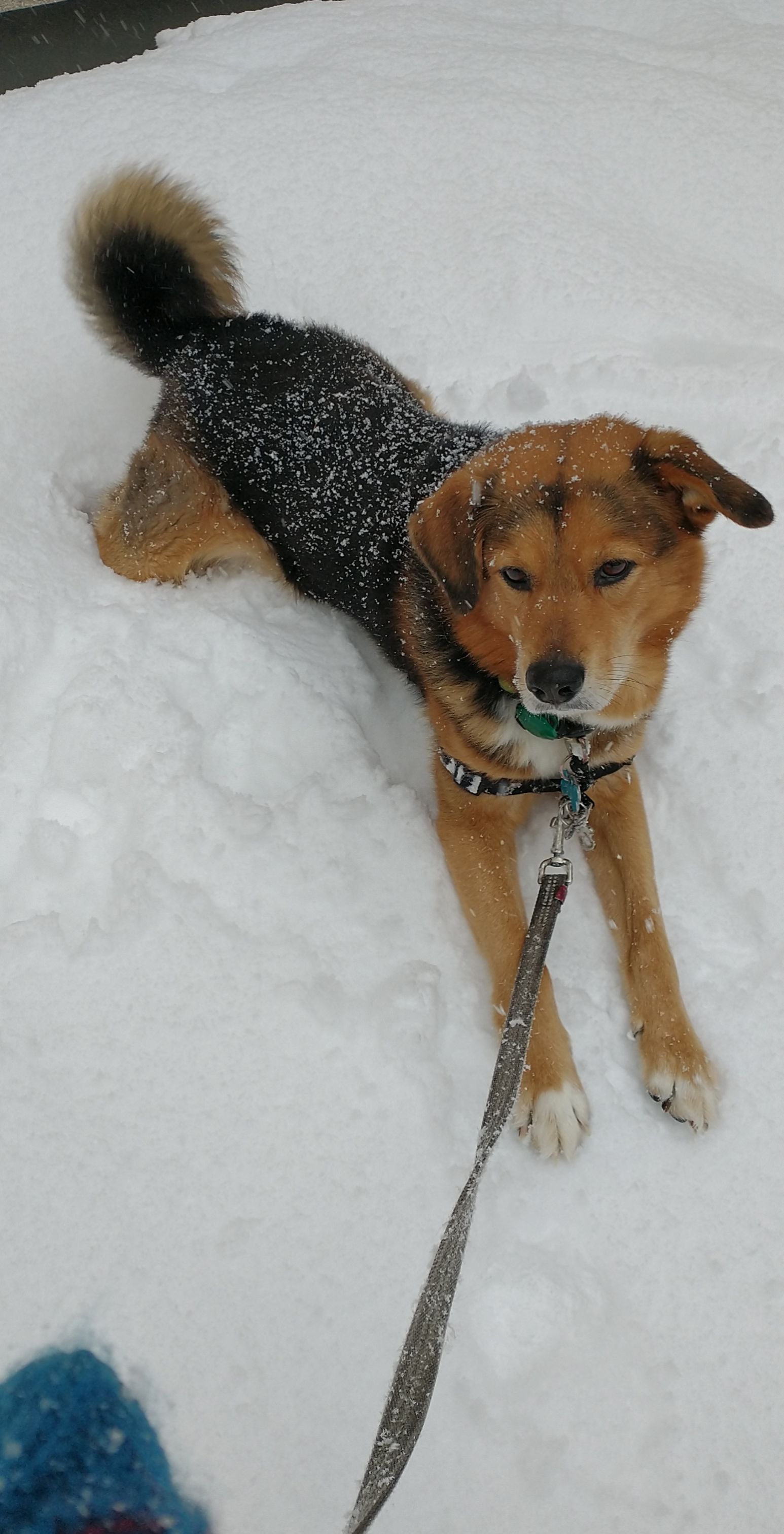 image-2