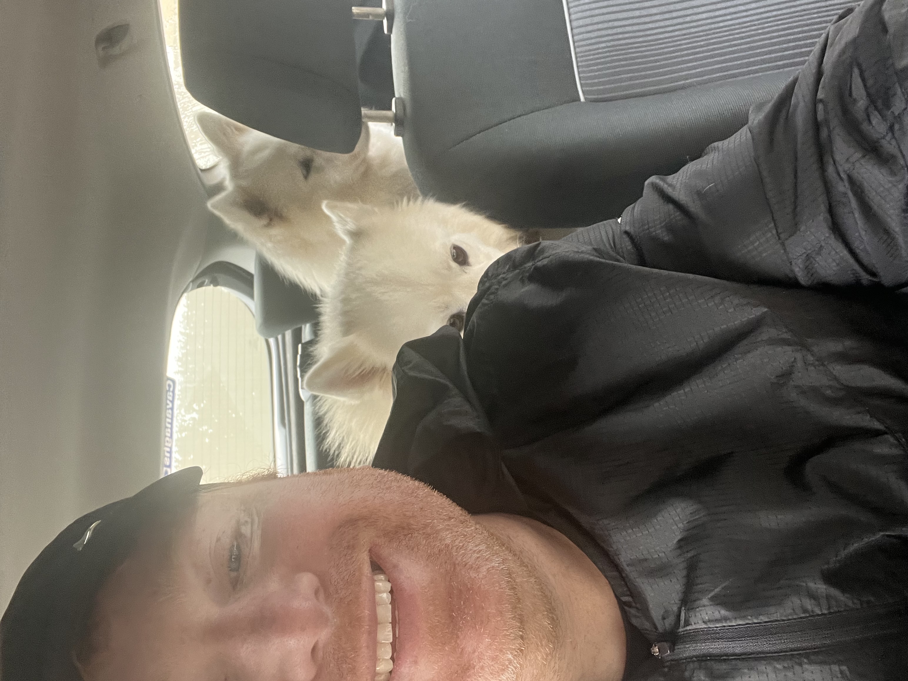 image-7